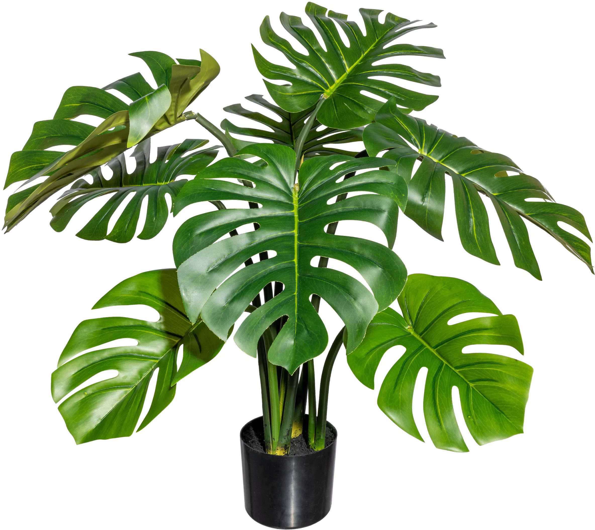 Creativ green Kunstbaum "Splitphilodendron" günstig online kaufen