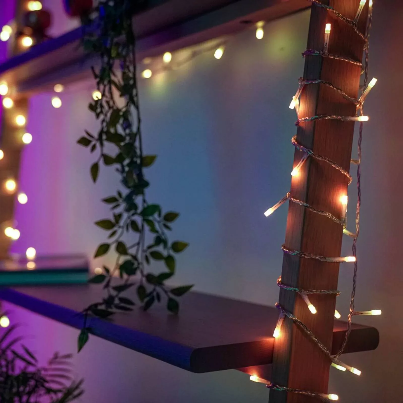 Smarter LED-Lichtervorhang Twinkly für App, RGBW günstig online kaufen