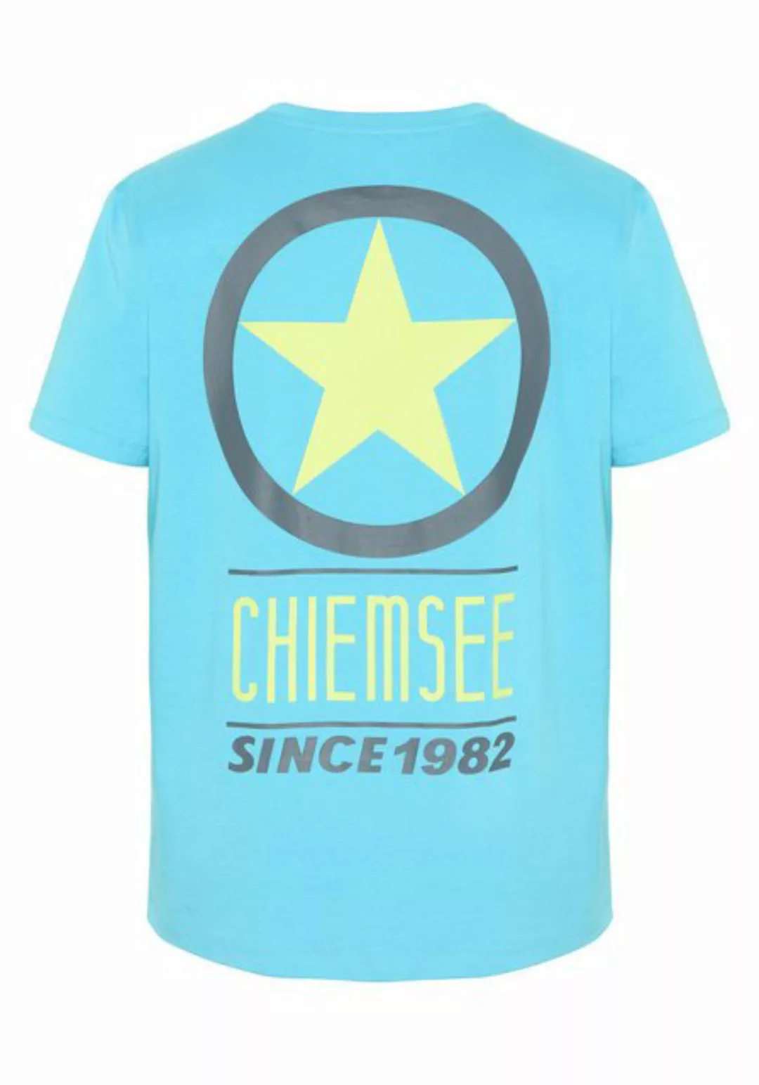 Chiemsee Print-Shirt Kurzarmshirt mit Retro-Print im Rücken 1 günstig online kaufen