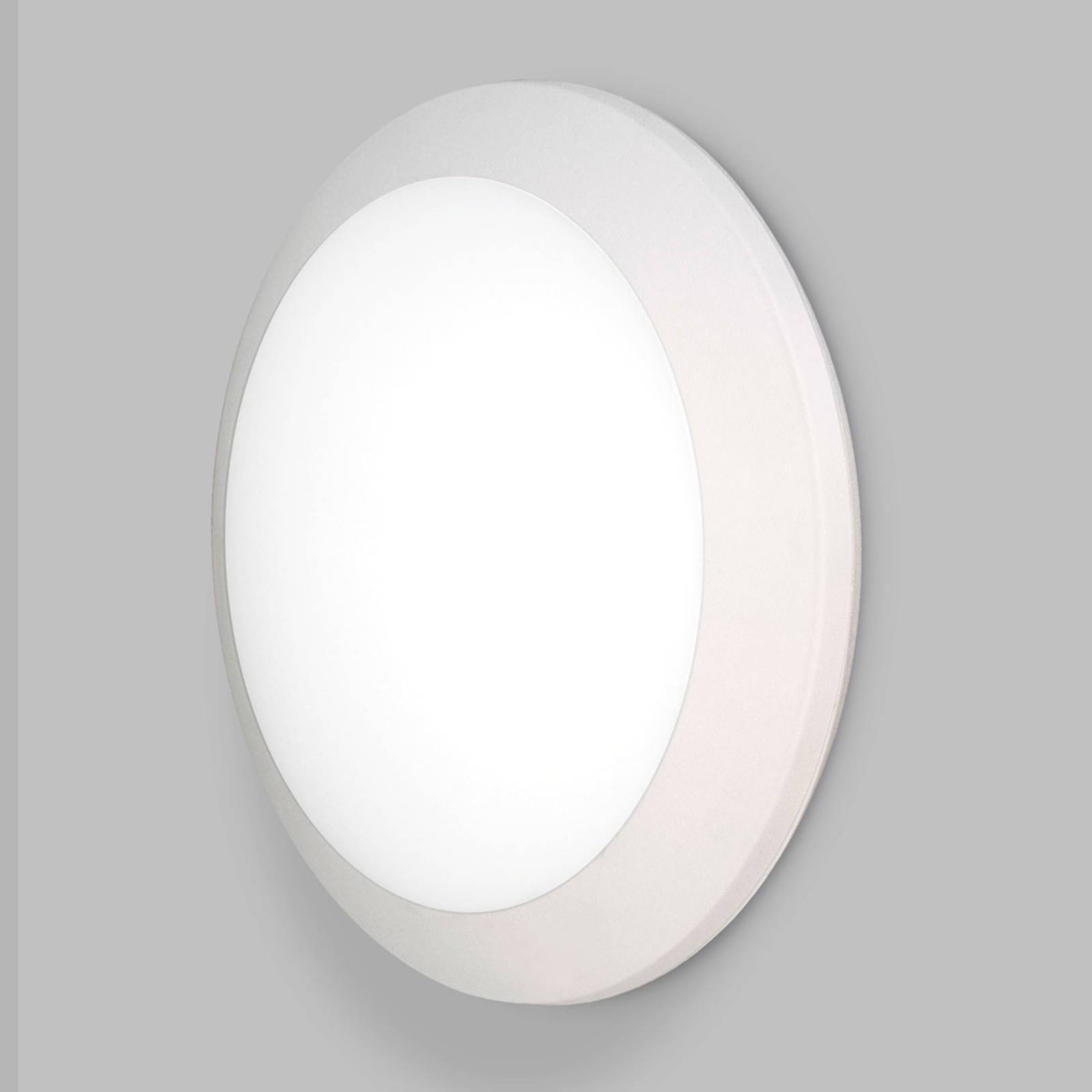 LED-Außenwandleuchte Umberta Ø 35cm weiß 11W CCT günstig online kaufen