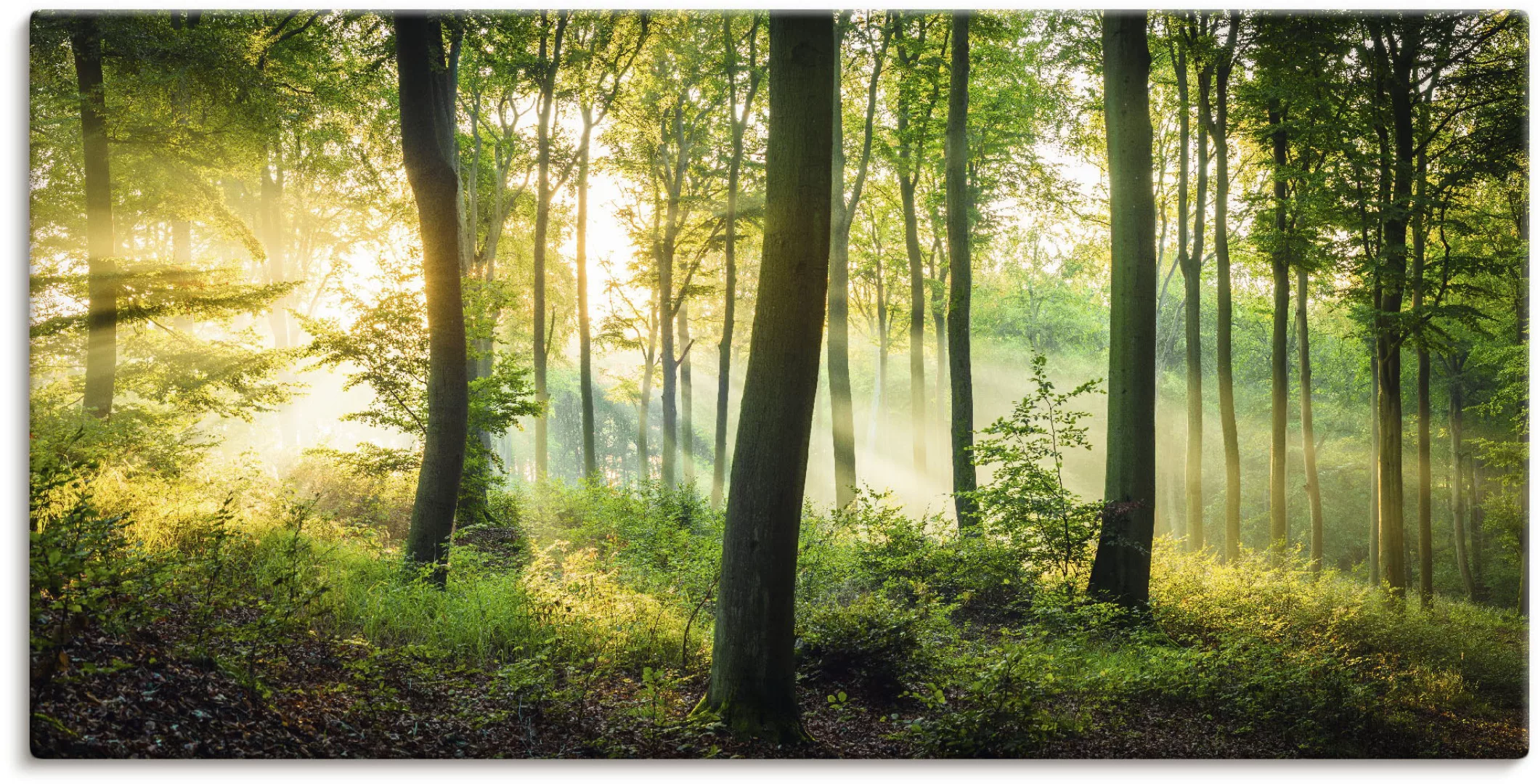 Artland Wandbild »Herbst im Wald II«, Waldbilder, (1 St.), als Alubild, Out günstig online kaufen