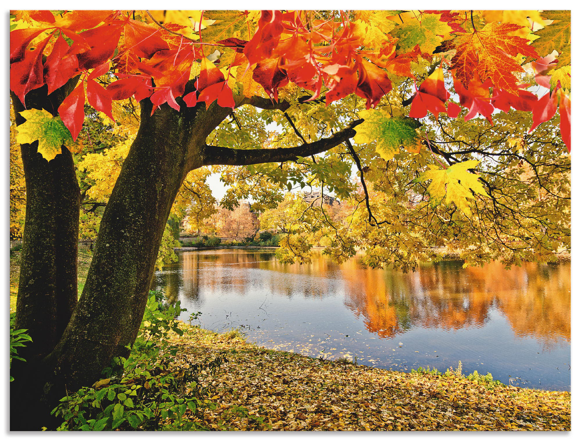 Artland Wandbild "Herbsttag an einem ruhigen See", Gewässer, (1 St.), als A günstig online kaufen