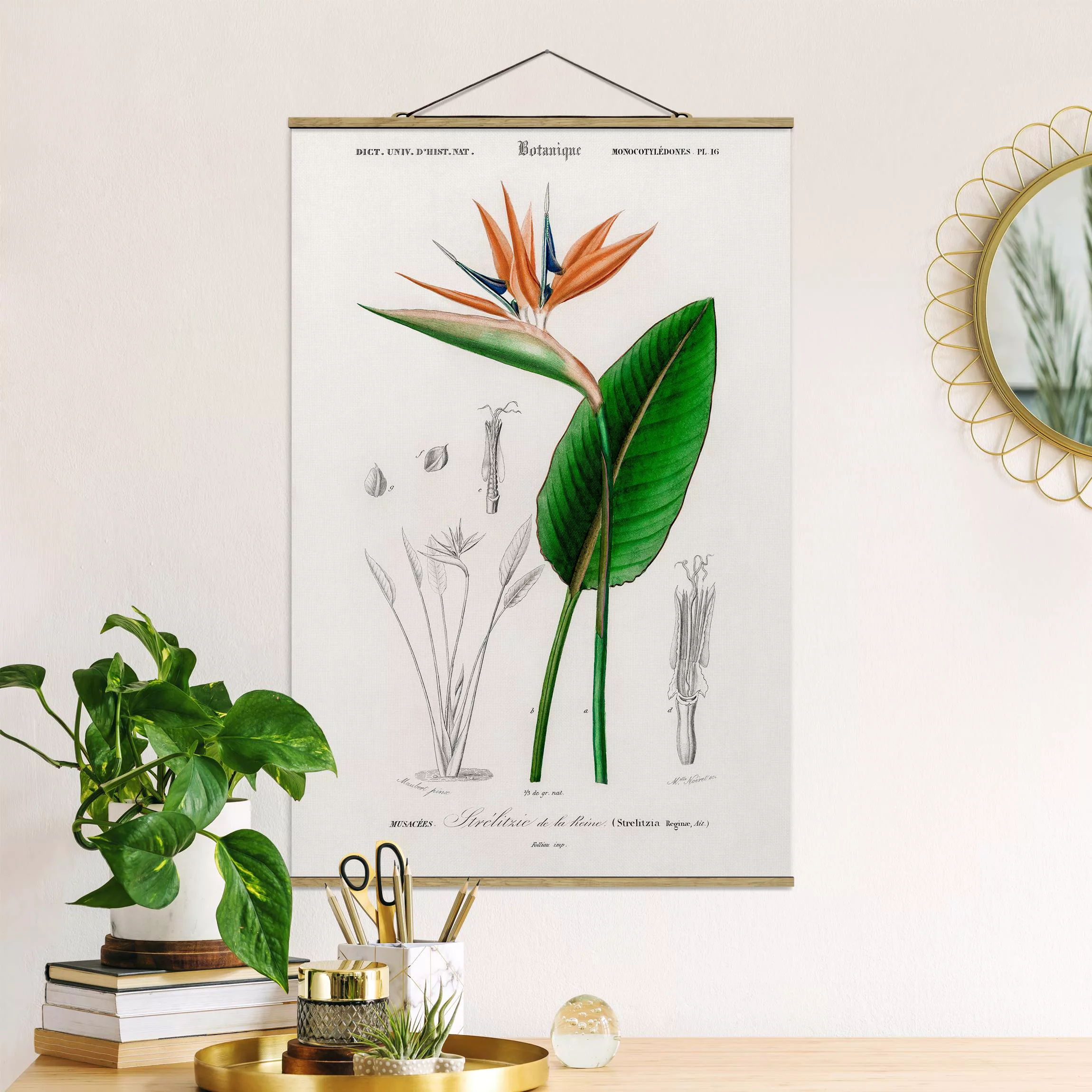 Stoffbild Blumen mit Posterleisten - Hochformat Botanik Vintage Illustratio günstig online kaufen