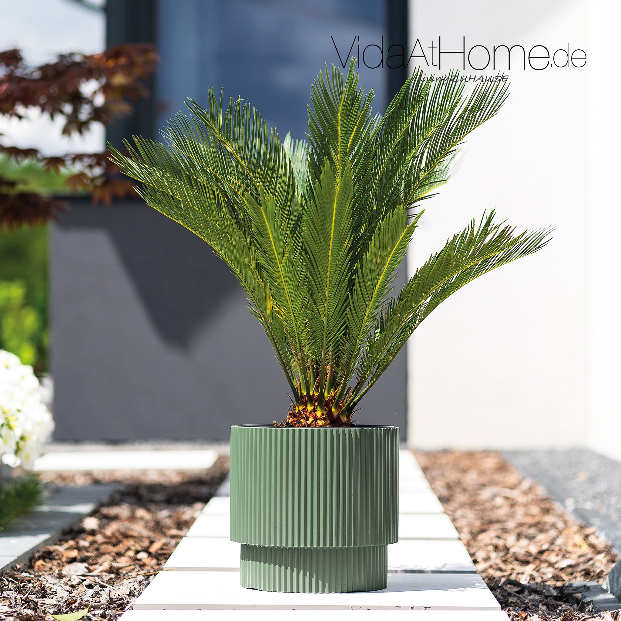 VidaAtHome.de Blumentopf Design-Pflanzgefäß IVY ø 40er, günstig online kaufen