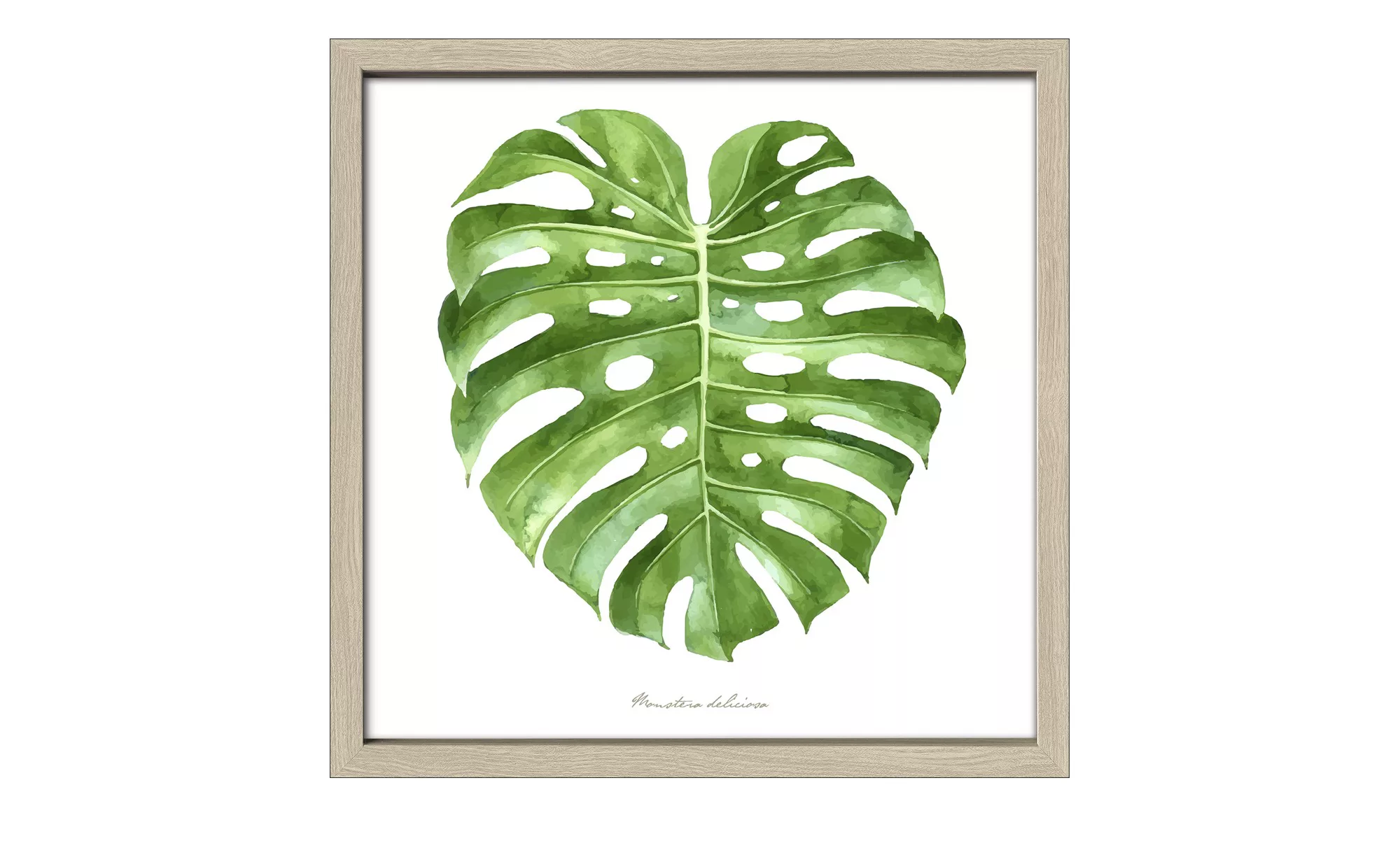 Gerahmtes Bild 30x30 cm  Green Leaf II - 30 cm - 30 cm - Sconto günstig online kaufen