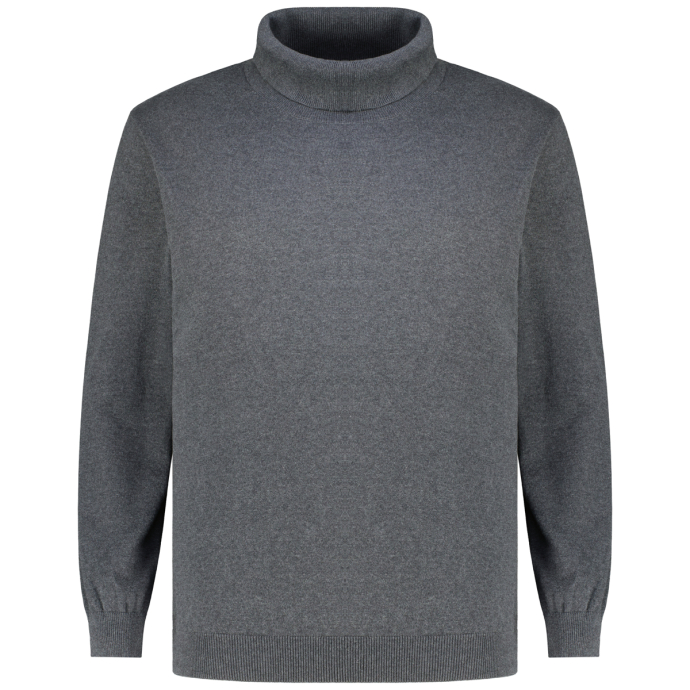 Jack&Jones Rollkragenpullover mit Biobaumwolle günstig online kaufen