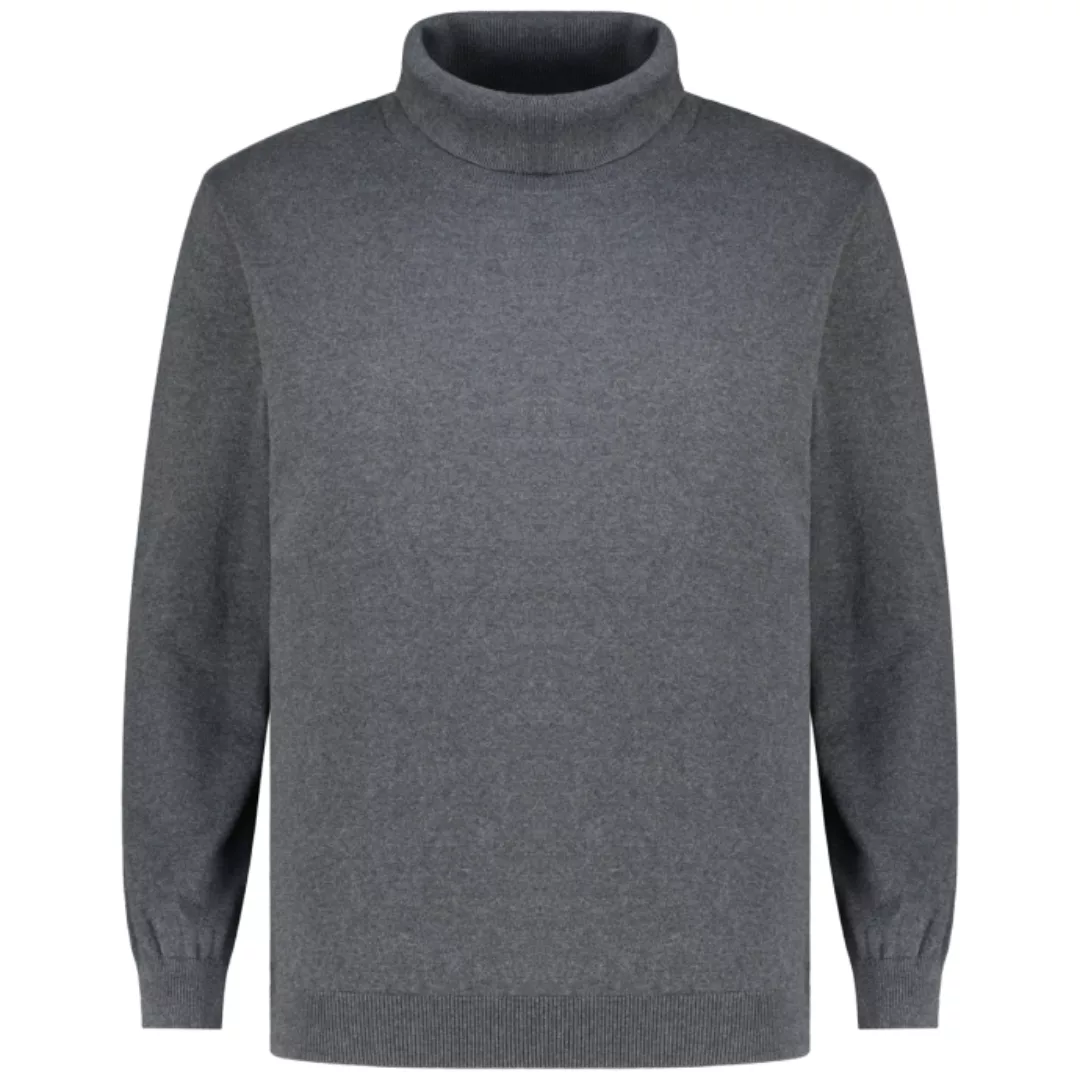 Jack&Jones Rollkragenpullover mit Biobaumwolle günstig online kaufen