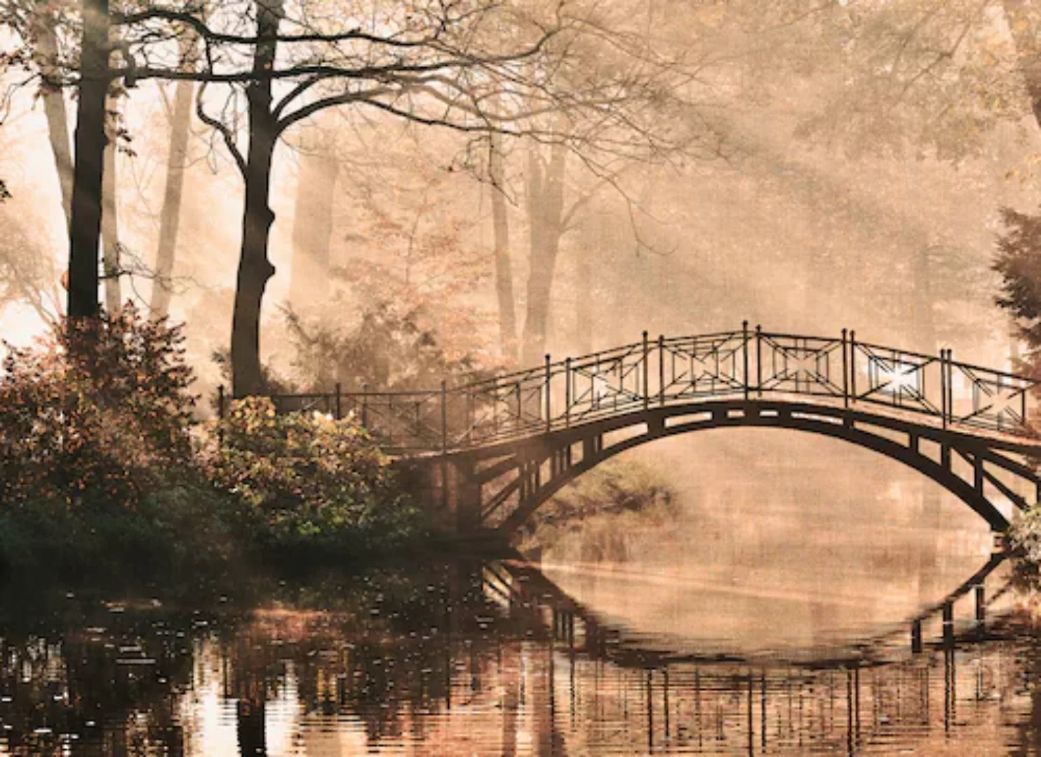 Fototapete Brücke Fluss Wald Grün Braun  3,50 m x 2,55 m FSC® günstig online kaufen