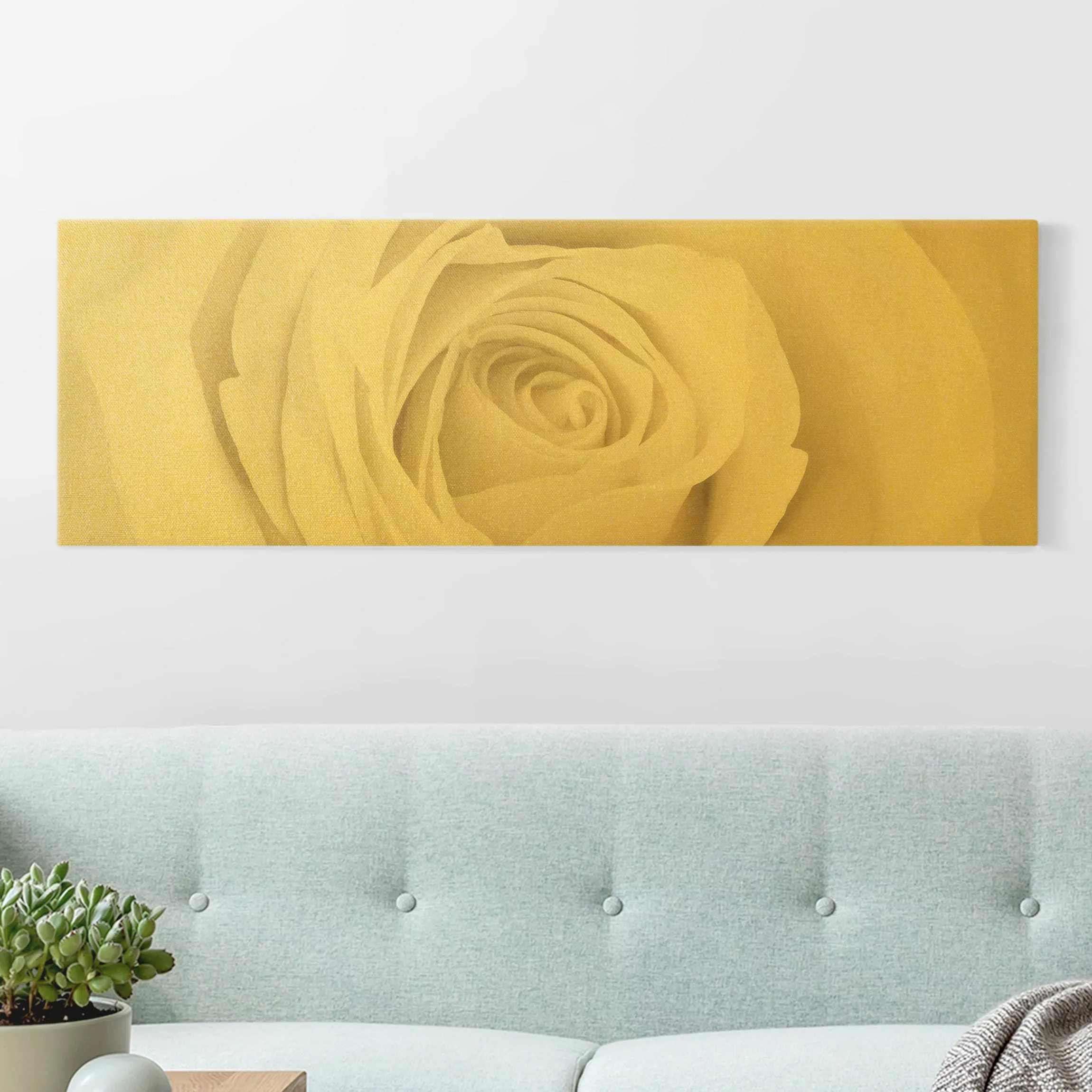 Leinwandbild Pretty White Rose günstig online kaufen