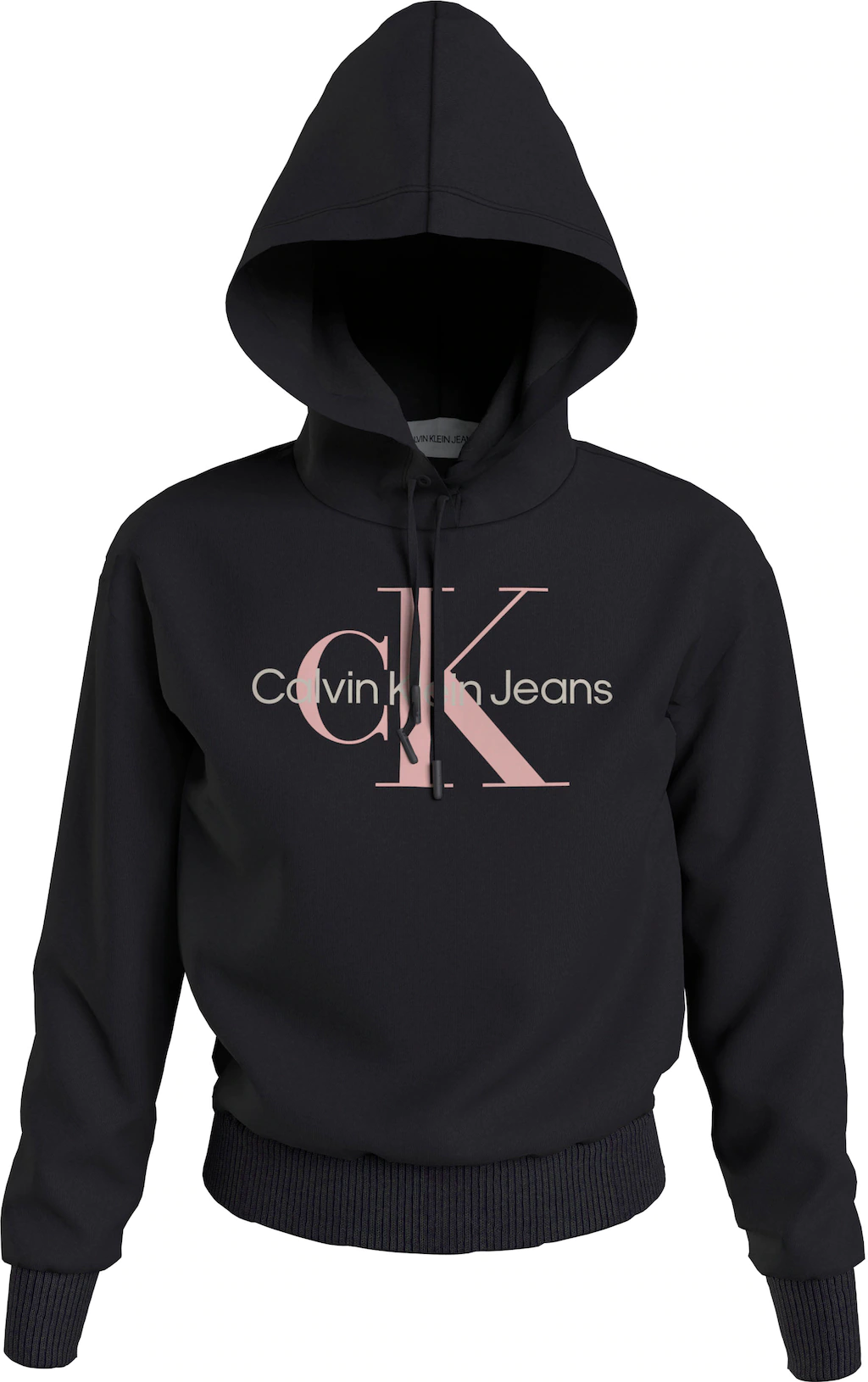 Calvin Klein Jeans Plus Kapuzensweatshirt "PLUS ICONIC MONOLOGO HOODIE", mi günstig online kaufen
