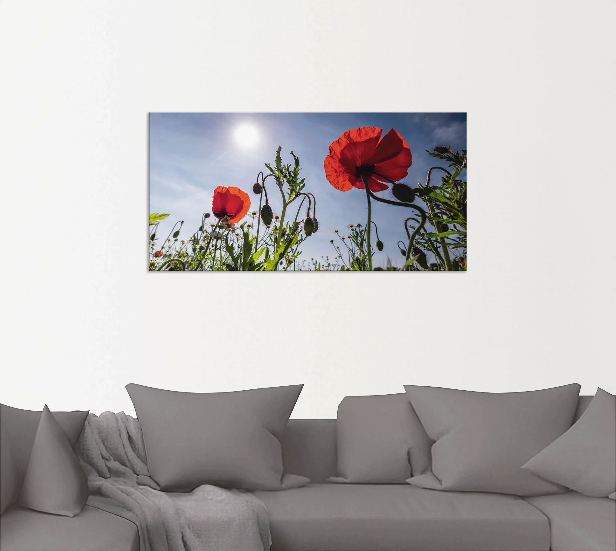 Artland Wandbild "Mohnblumen im Frühling", Blumenwiese, (1 St.), als Alubil günstig online kaufen