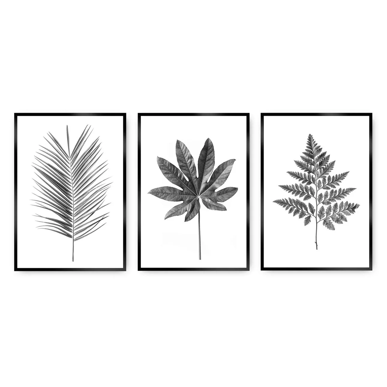 Bilder-Set Tropical Grey 3 Stck., 40 x 50 cm günstig online kaufen