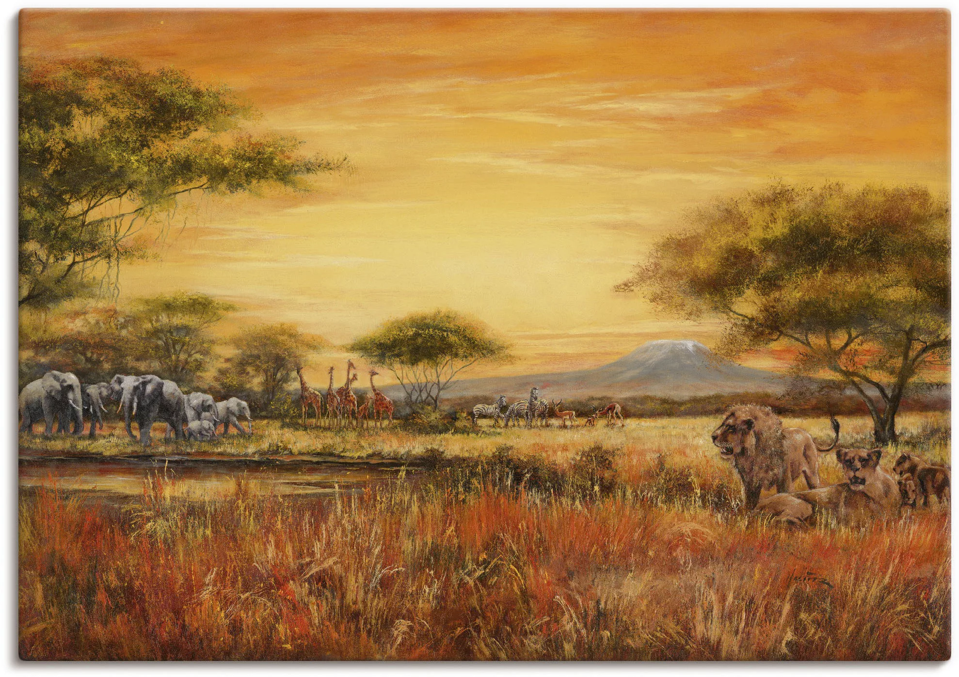 Artland Wandbild "Afrikanische Steppe mit Löwen", Afrika, (1 St.), als Alub günstig online kaufen