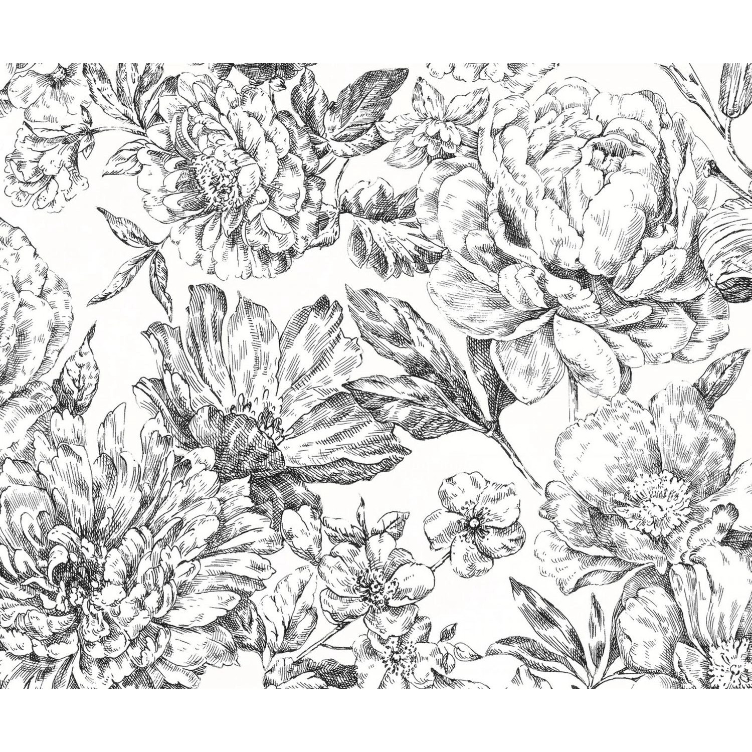 Komar Fototapete Flowerbed Schwarz-Weiß 300 x 250 cm 611630 günstig online kaufen
