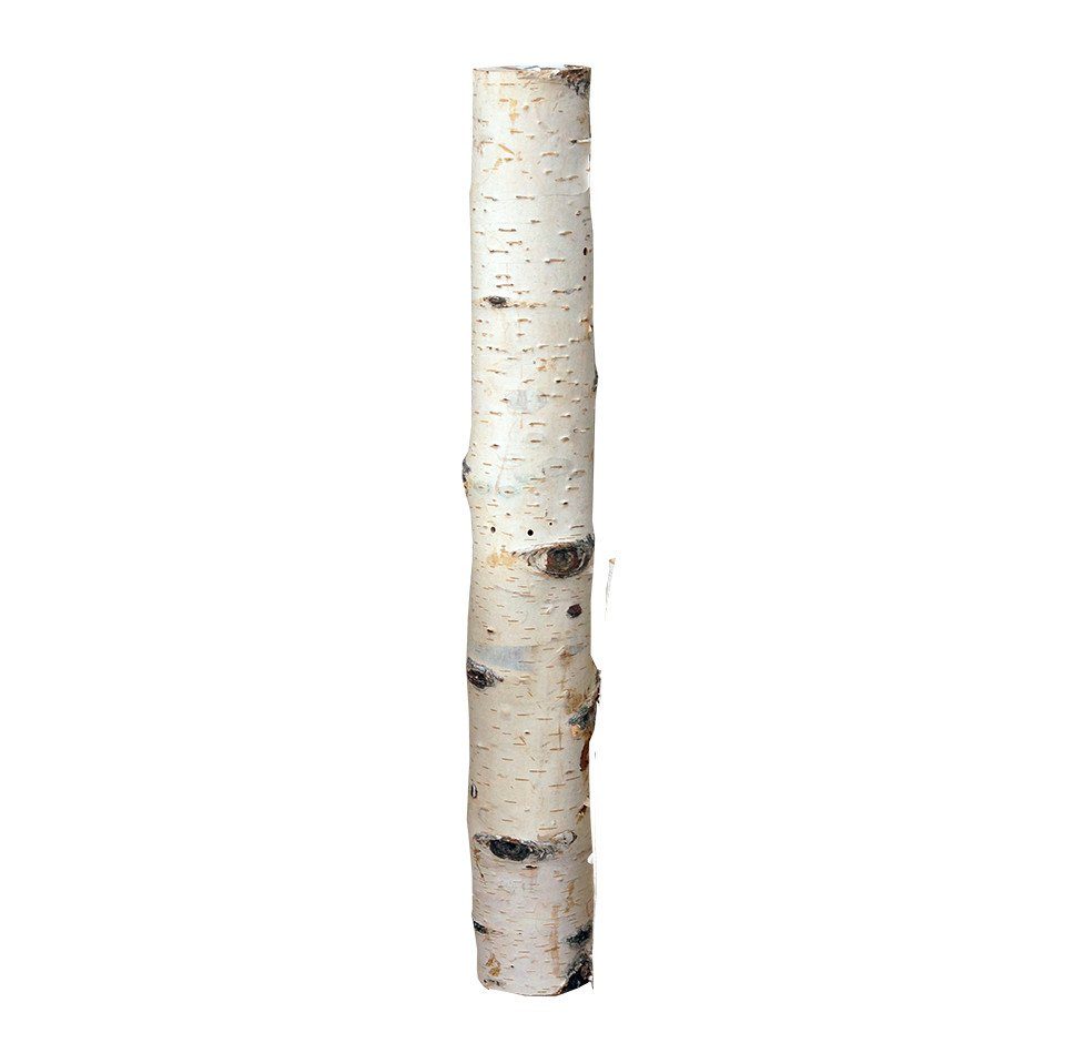 iWerk Dekofigur Birkenholzsticks 100% Natur 40 günstig online kaufen