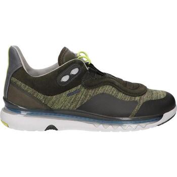 Geox  Sneaker U029XA 06K22 U LEVITA günstig online kaufen