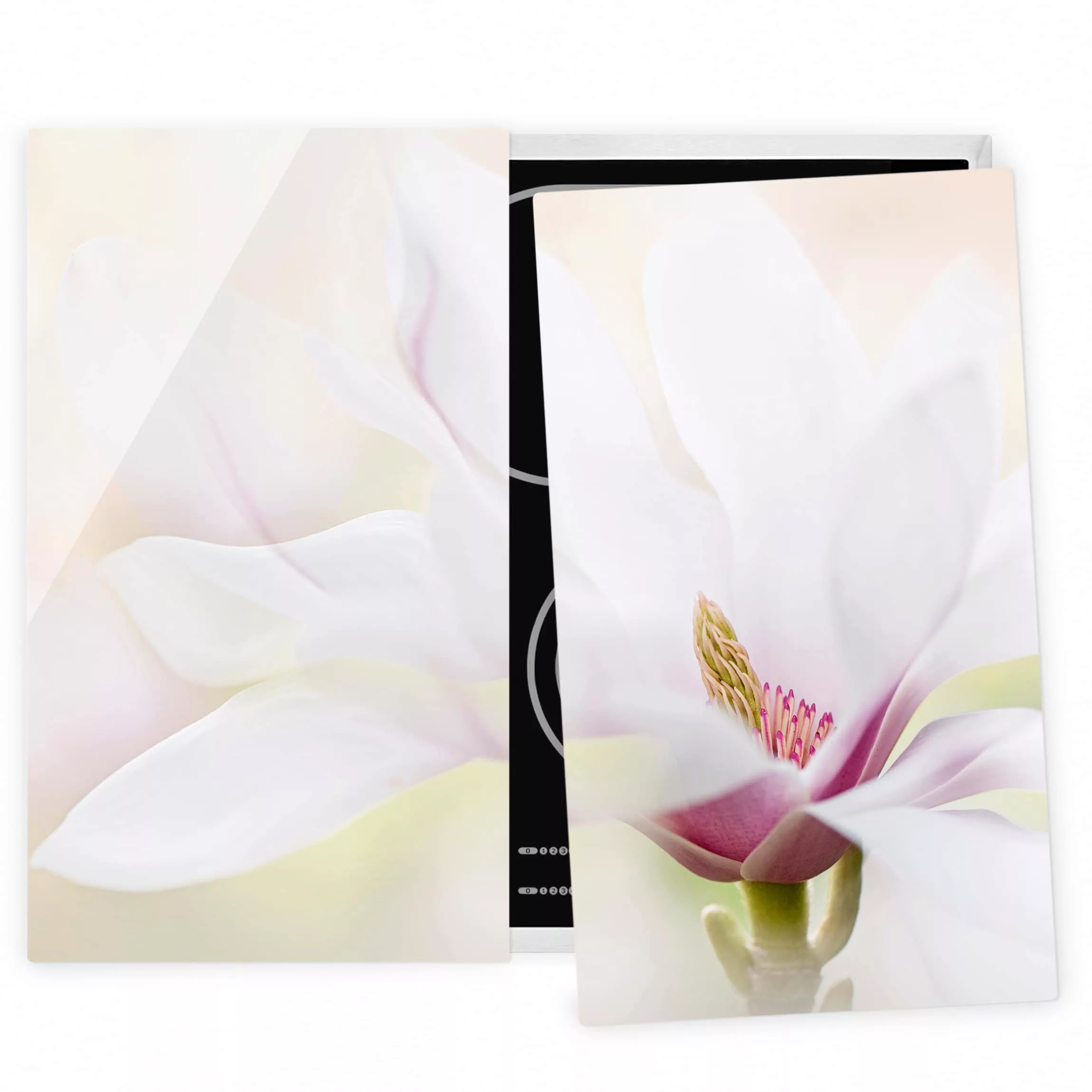 2-teilige Herdabdeckplatte Glas Blumen Zarte Magnolienblüte günstig online kaufen