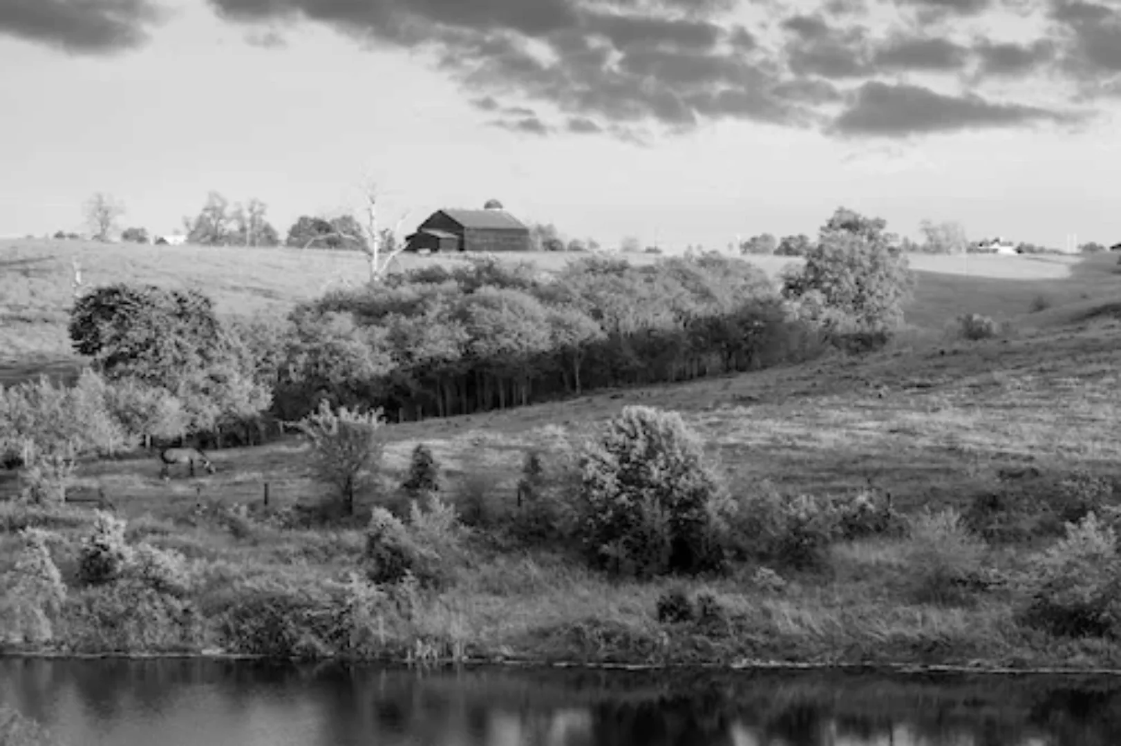 Papermoon Fototapete »Landschaft Schwarz & Weiß« günstig online kaufen