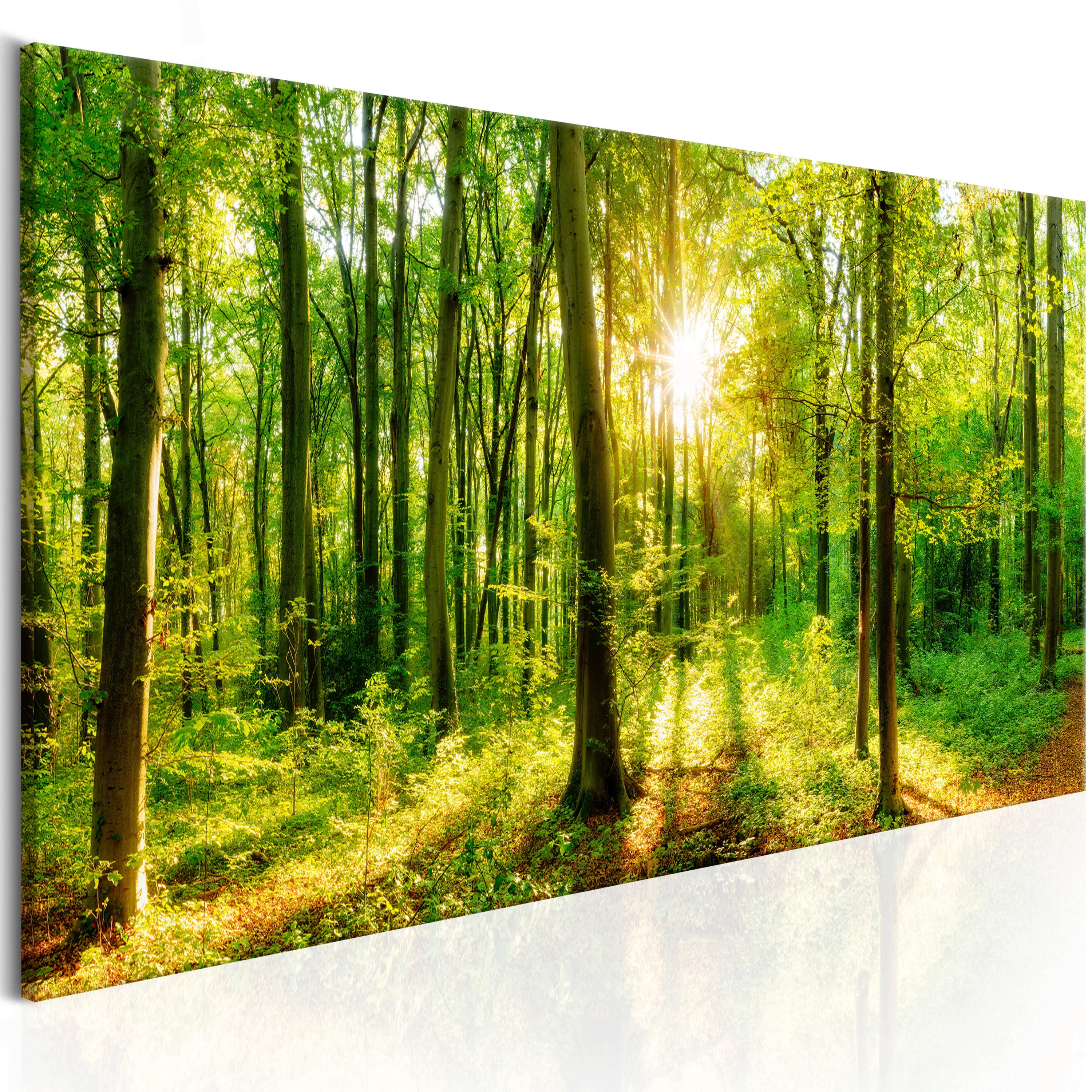 Wandbild - Green Magic günstig online kaufen