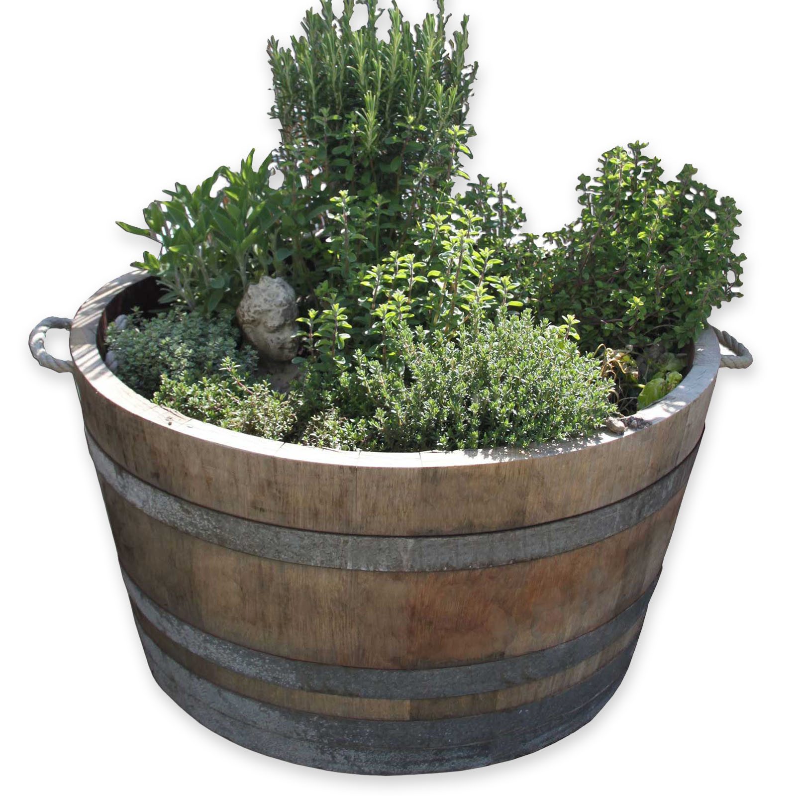 Temesso Pflanzkübel D 70cm - Halbiertes günstig online kaufen