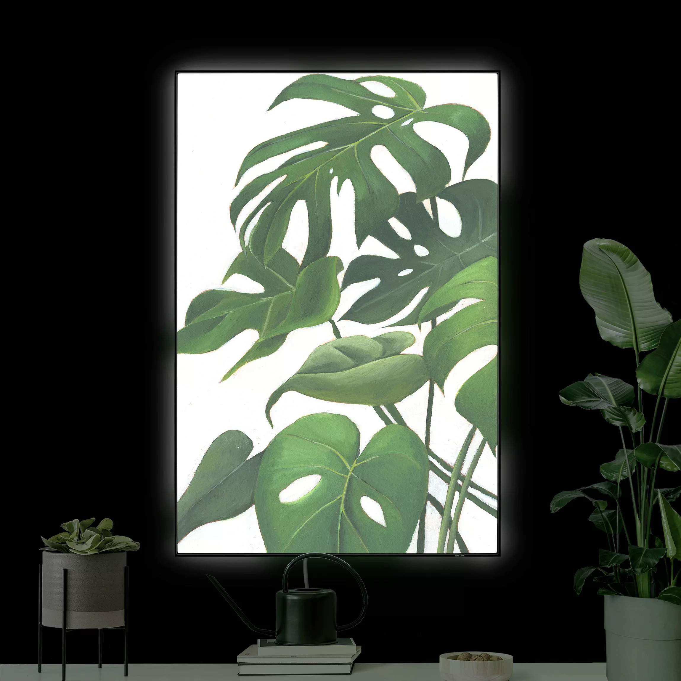 LED-Wechselbild Lieblingspflanzen - Monstera günstig online kaufen