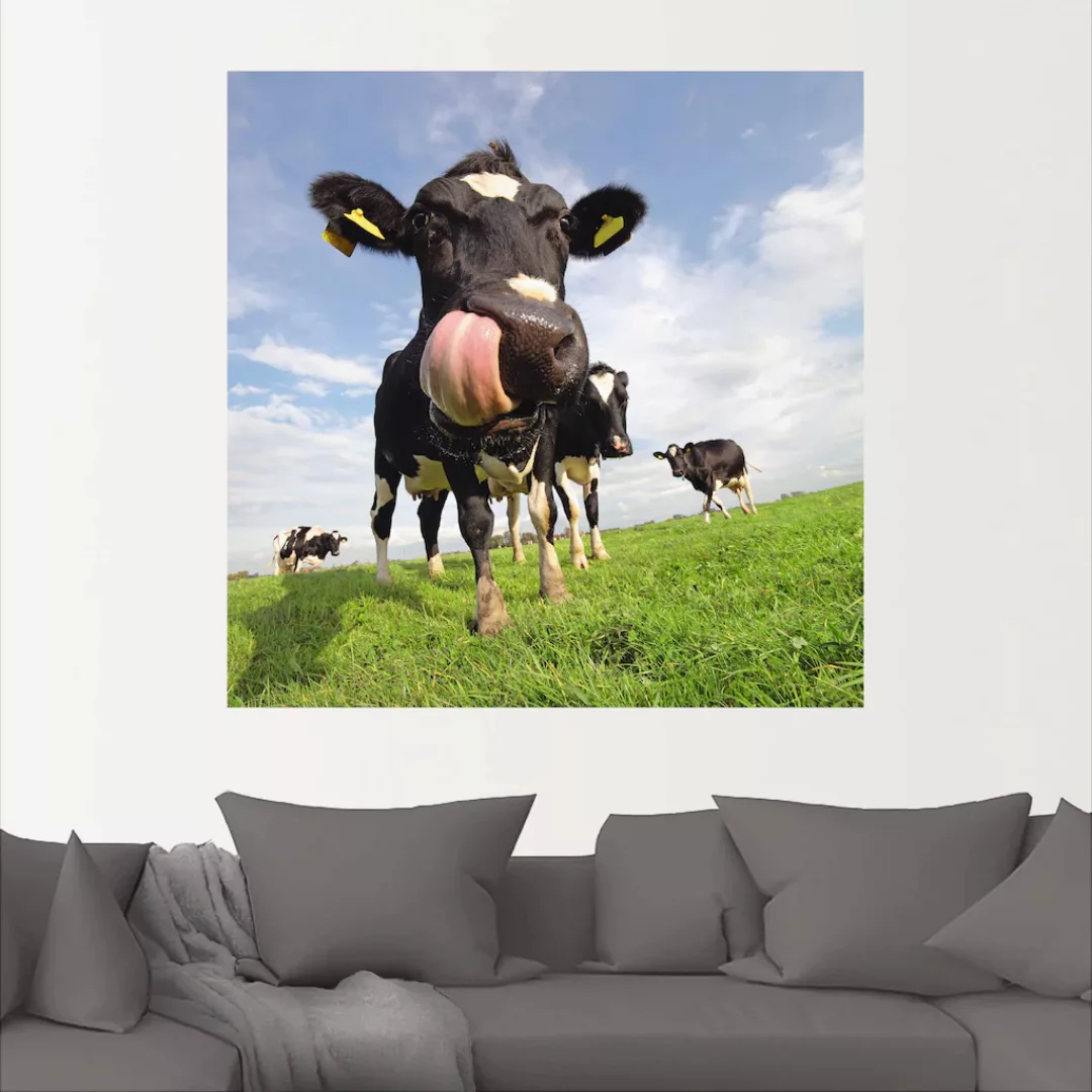 Artland Wandbild "Holstein-Kuh mit gewaltiger Zunge", Haustiere, (1 St.) günstig online kaufen