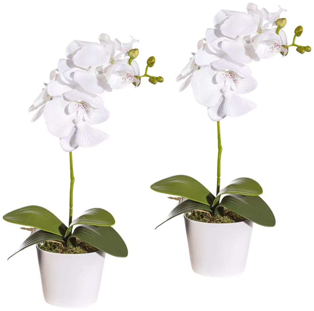 Creativ green Kunstpflanze "Orchidee Phalaenopsis", im Keramiktopf günstig online kaufen