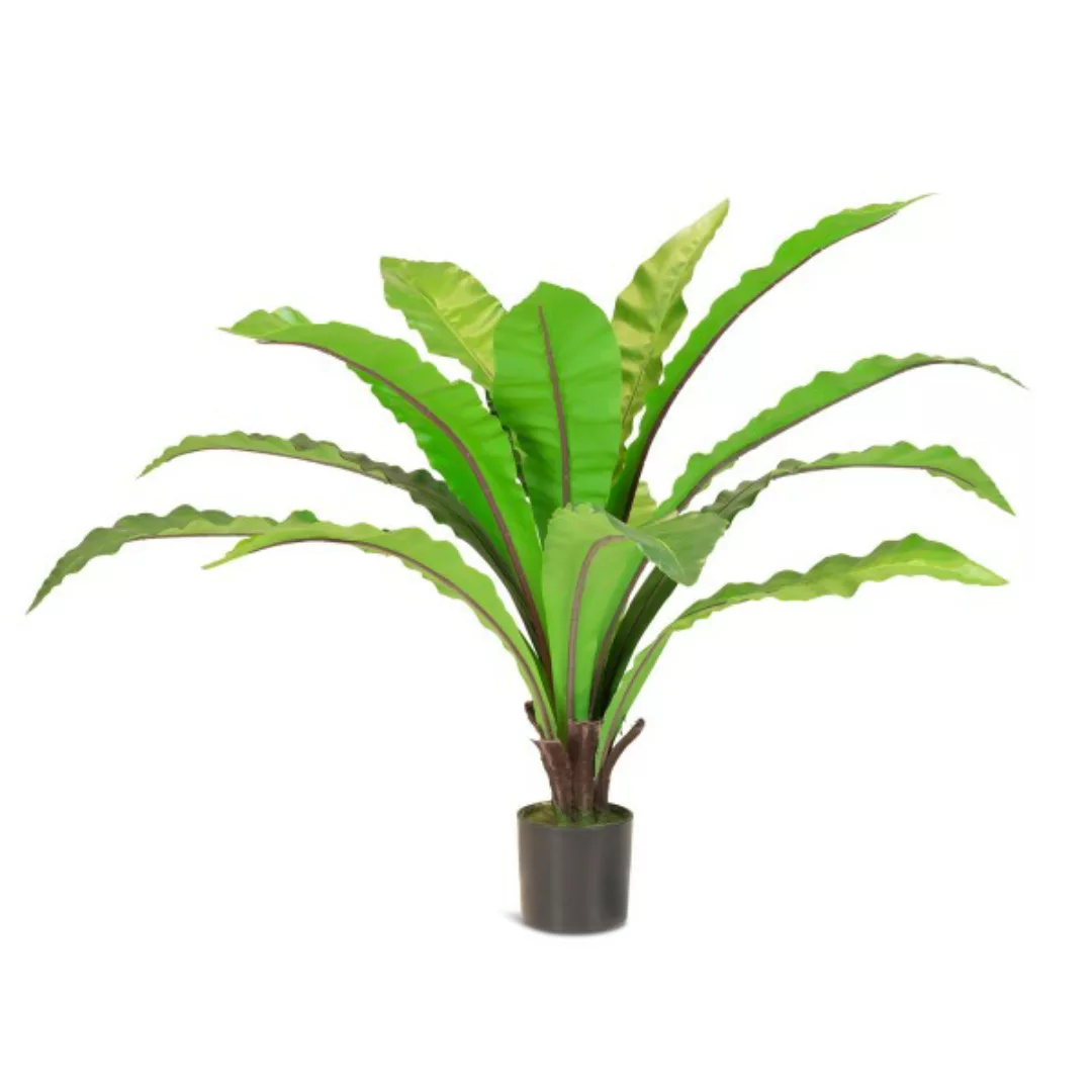 Nestfarn Asplenium nidus Kunstpflanze, 85 cm günstig online kaufen