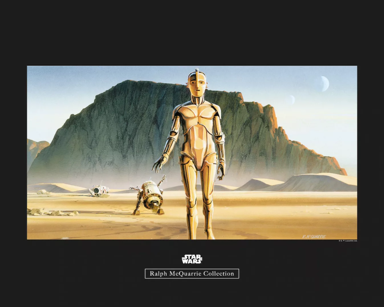 Komar Wandbild Star Wars Droids 50 x 40 cm günstig online kaufen