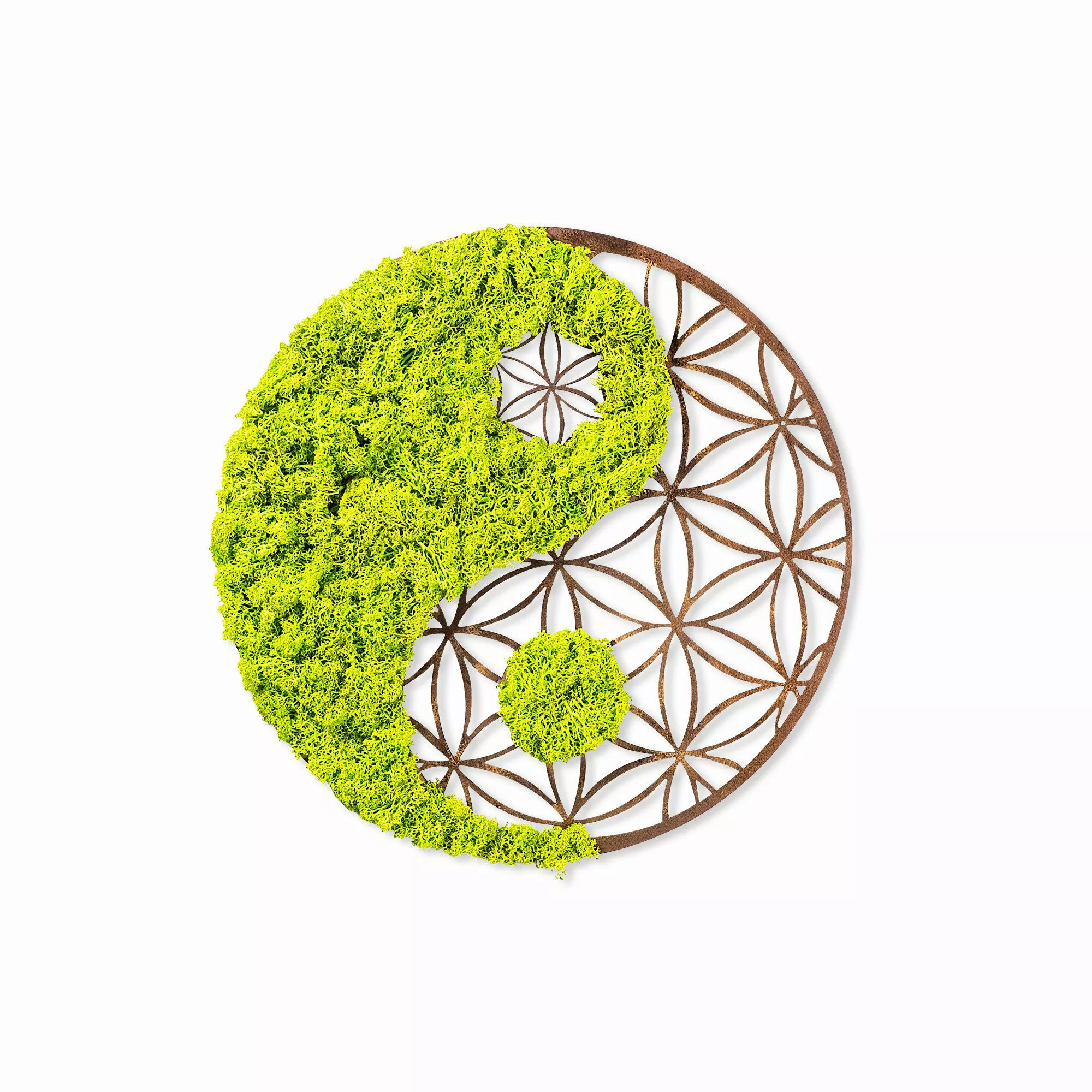 Wallity Wanddekoobjekt 100% MDF / MOSS günstig online kaufen