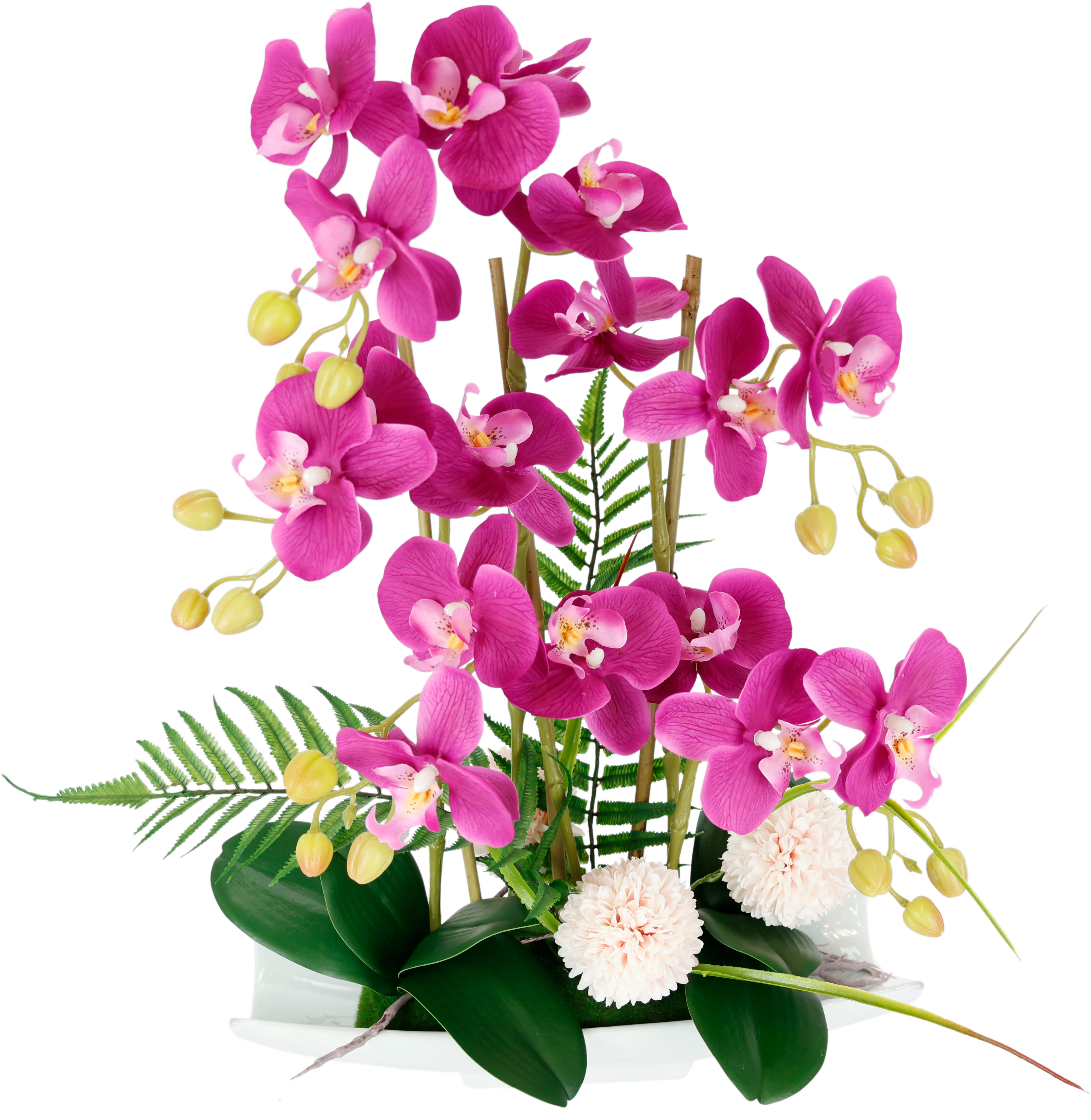 I.GE.A. Kunstblume "Orchideen" günstig online kaufen