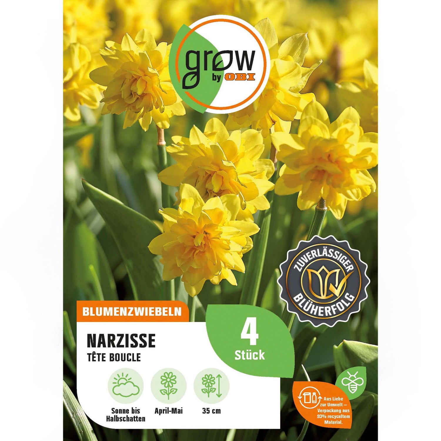 GROW by OBI Narcissus TEte bouclé Gelb 4 Stück Narcissus double TEte bouclé günstig online kaufen