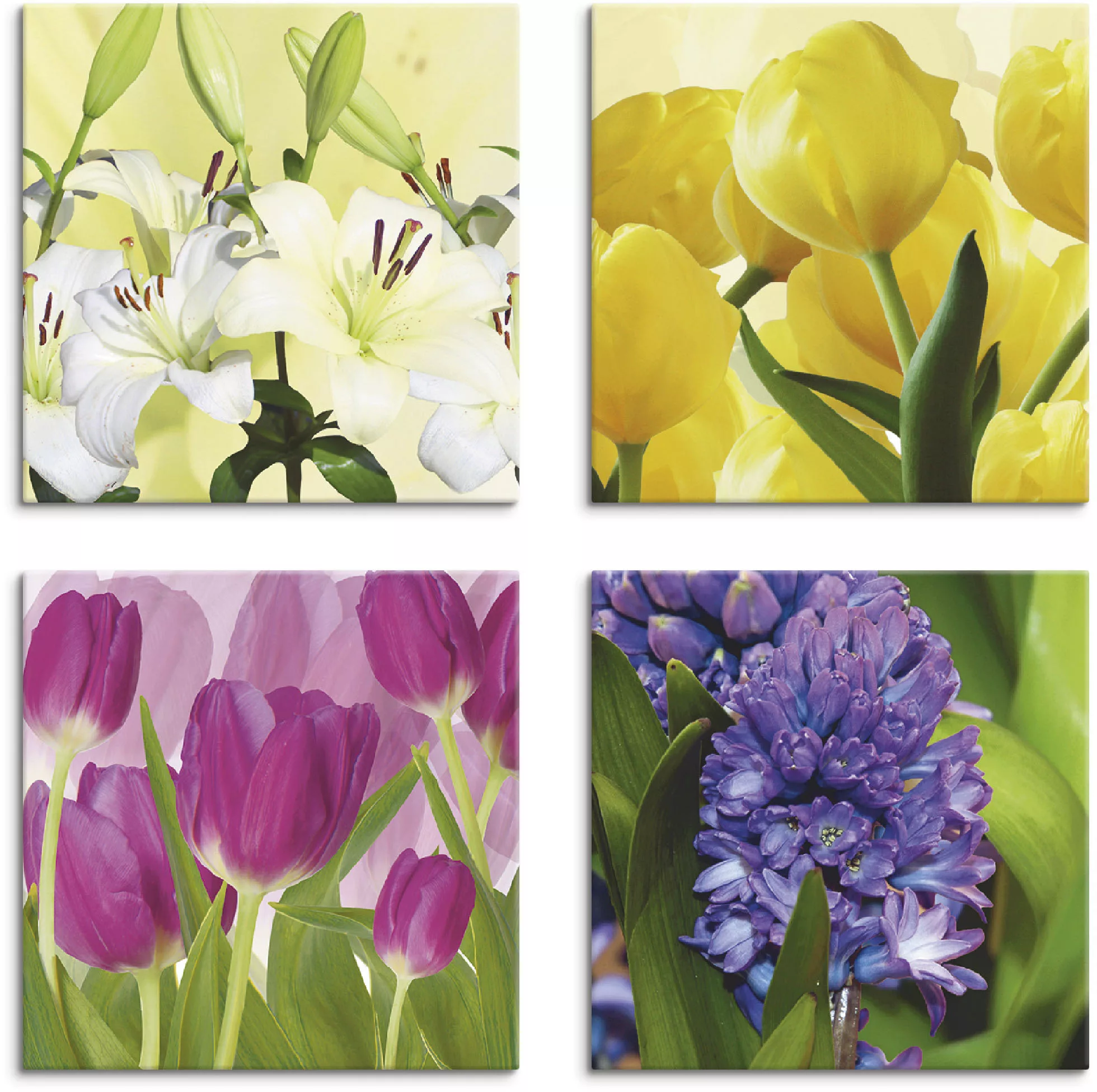 Artland Leinwandbild "Tulpen Lilien Hyazinthe", Blumen, (4 St.), 4er Set, v günstig online kaufen