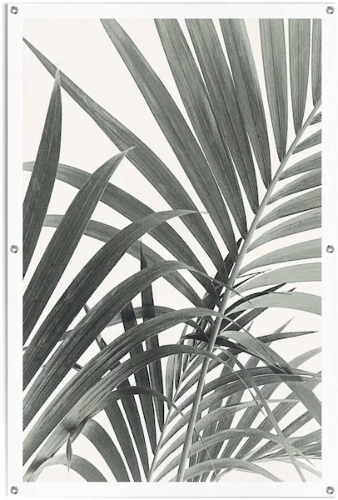 Reinders! Poster »Palmenblätter«, leichtes und wasserfestes Gartenposter fü günstig online kaufen