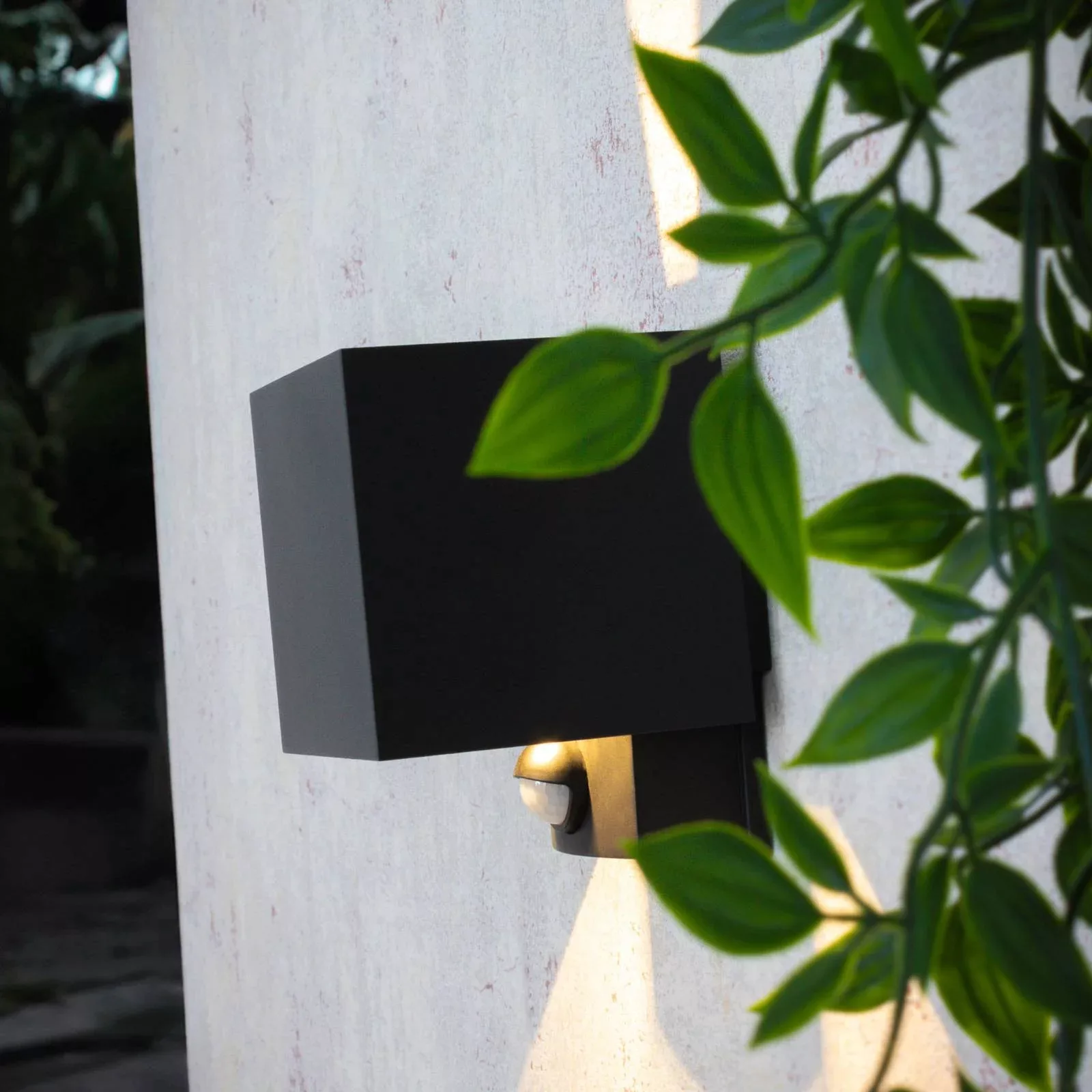 LED-Außenwandleuchte Dubai, anthrazit, Breite 10 cm, Sensor günstig online kaufen