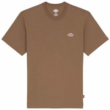 Dickies  T-Shirts & Poloshirts SUMMERDALE SS - DK0A4YA-I0BD1 BROWN DUCK günstig online kaufen