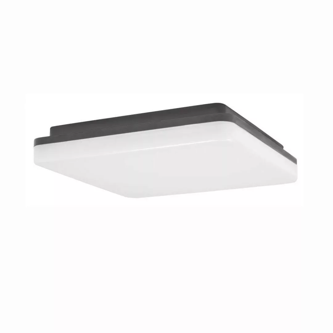 LED Deckenleuchte Tommy in Dunkelgrau 24W 1920lm IP54 günstig online kaufen