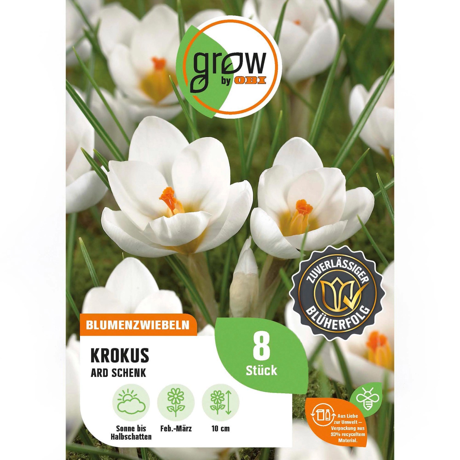 GROW by OBI Krokus Ard Schenk Weiß 8 Stück Crocus chrysanthus Ard Schenk günstig online kaufen