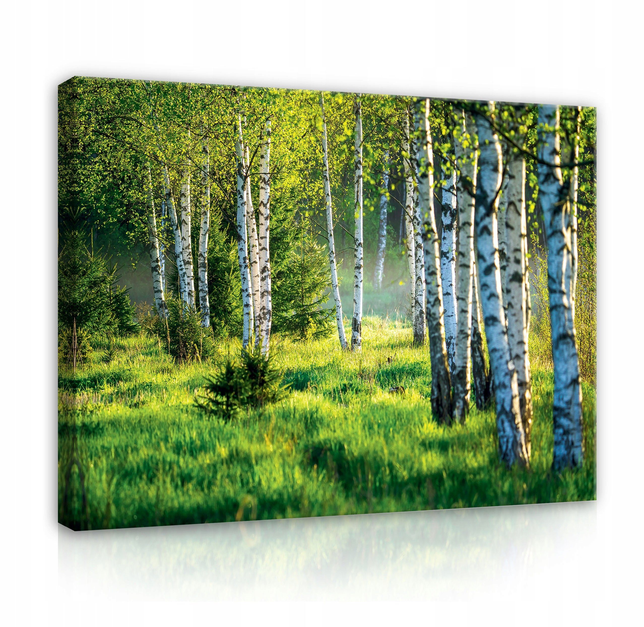 Wallarena Leinwandbild Wald Sonne Natur Grün günstig online kaufen