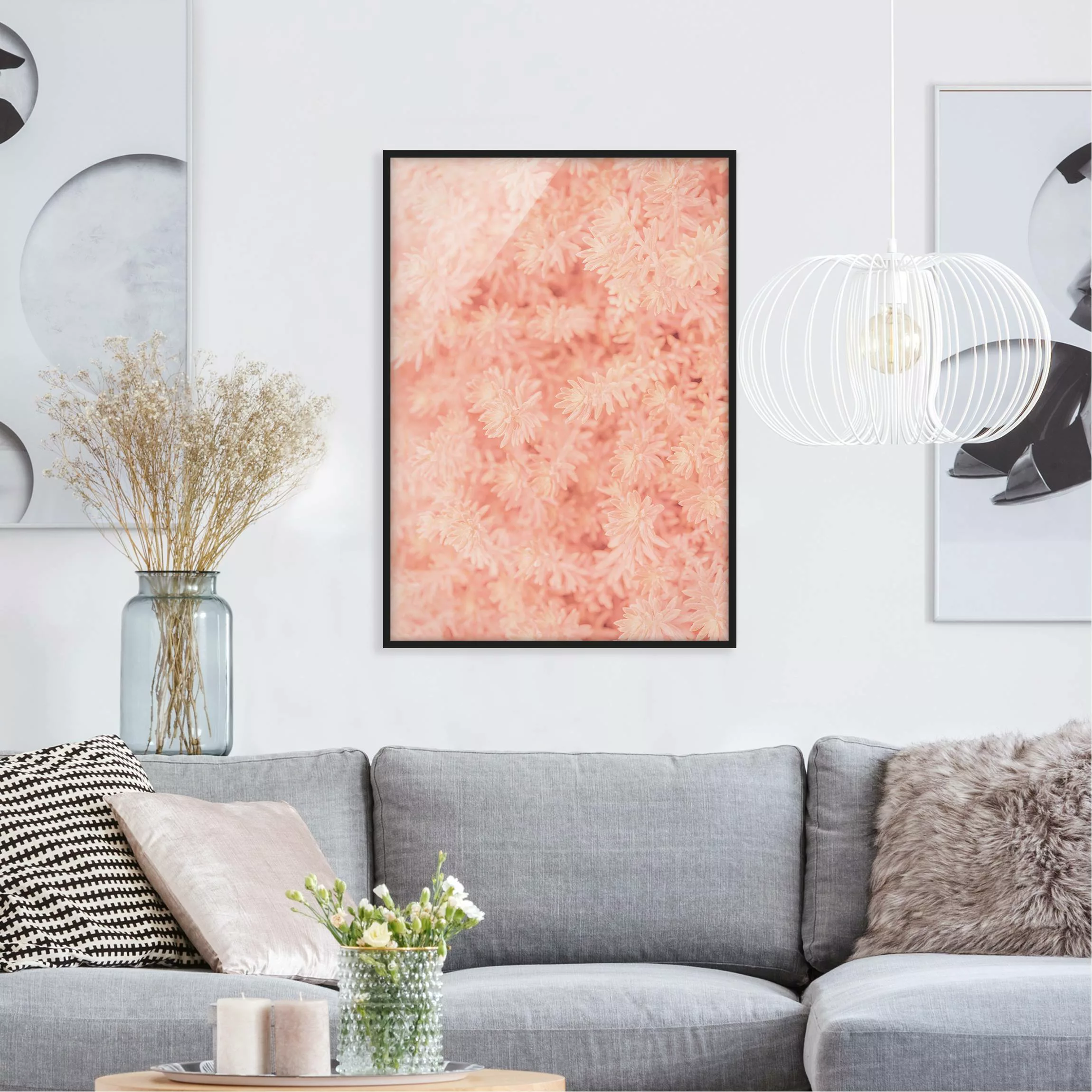 Bild mit Rahmen Blumen - Hochformat Rosmarin Rosa günstig online kaufen