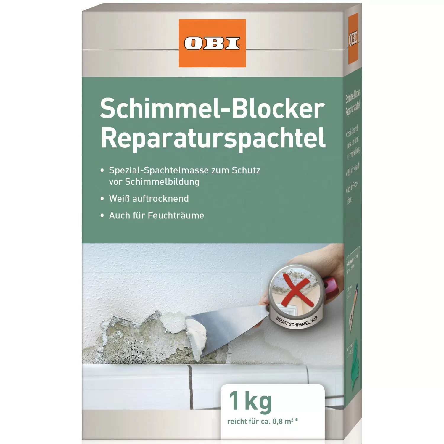 OBI Schimmel-Blocker Reparaturspachtel Weiß 1 kg günstig online kaufen