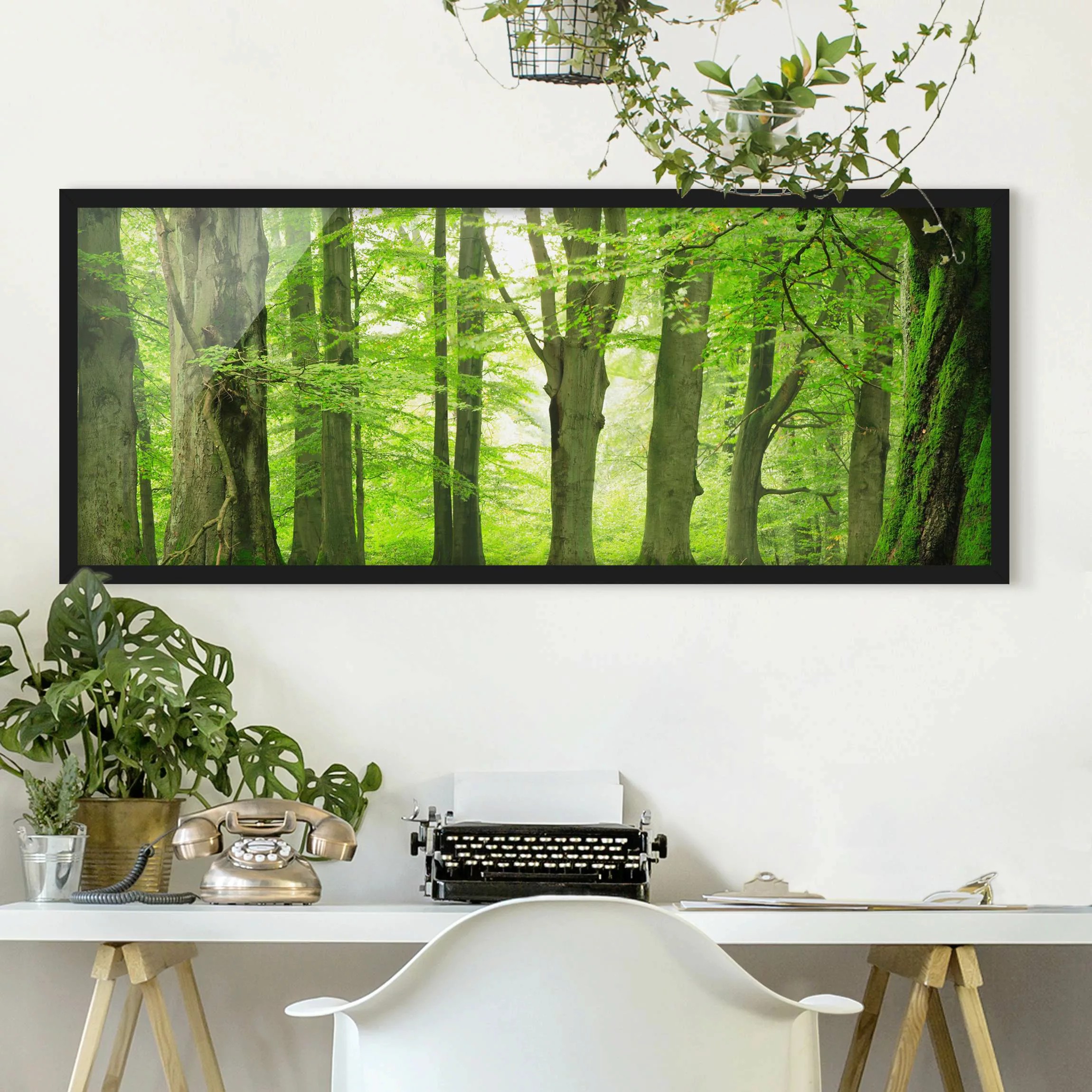 Bild mit Rahmen Natur & Landschaft - Panorama Mighty Beech Trees günstig online kaufen