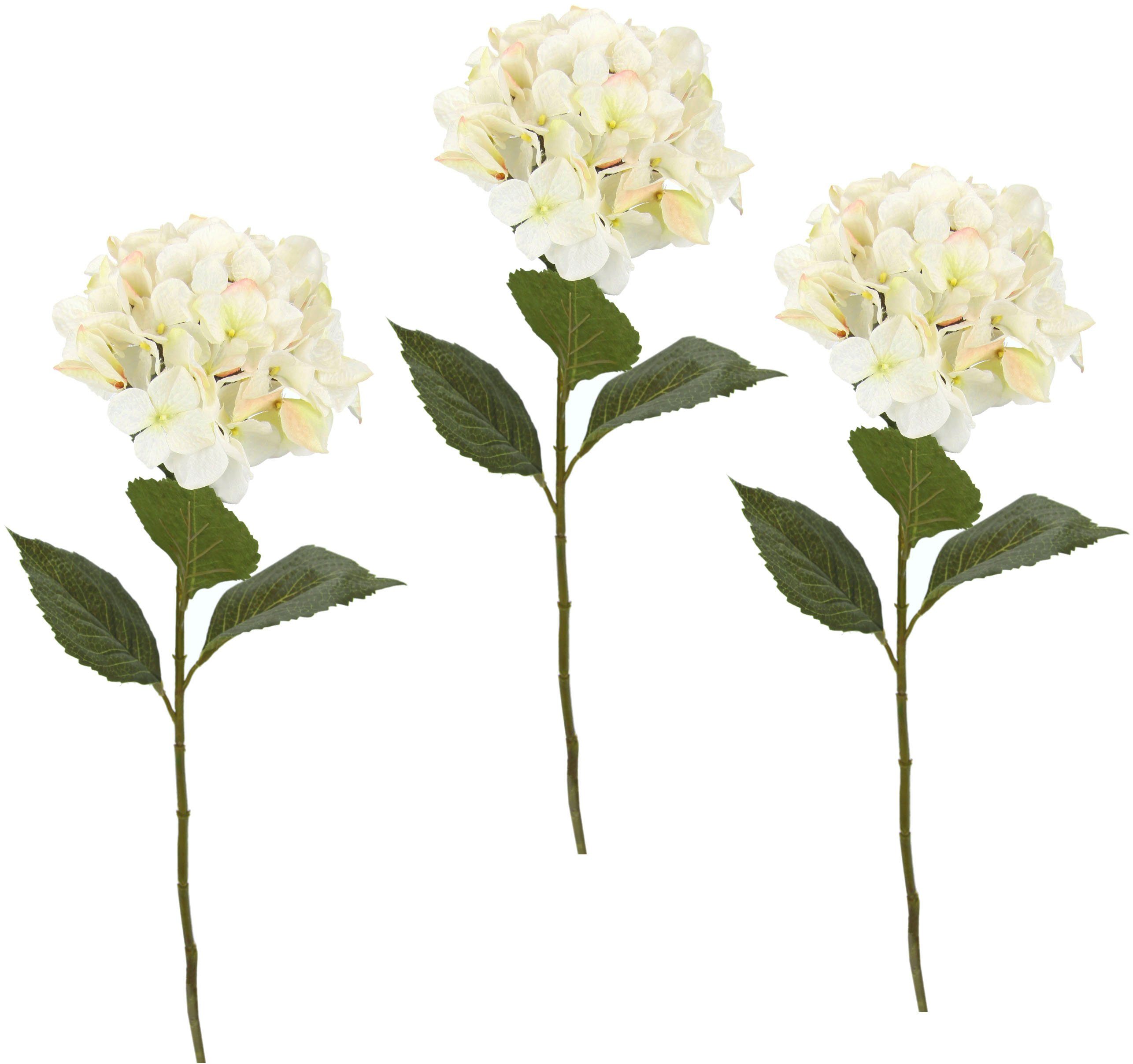 Kunstblume Hortensie, I.GE.A., Höhe 73 cm, günstig online kaufen