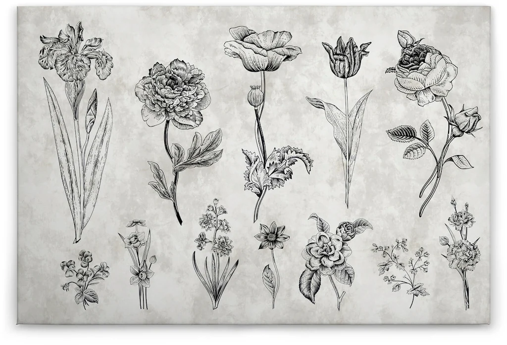A.S. Création Leinwandbild "sketchpad", (1 St.), Schwarz-Weiß Zeichnung Flo günstig online kaufen