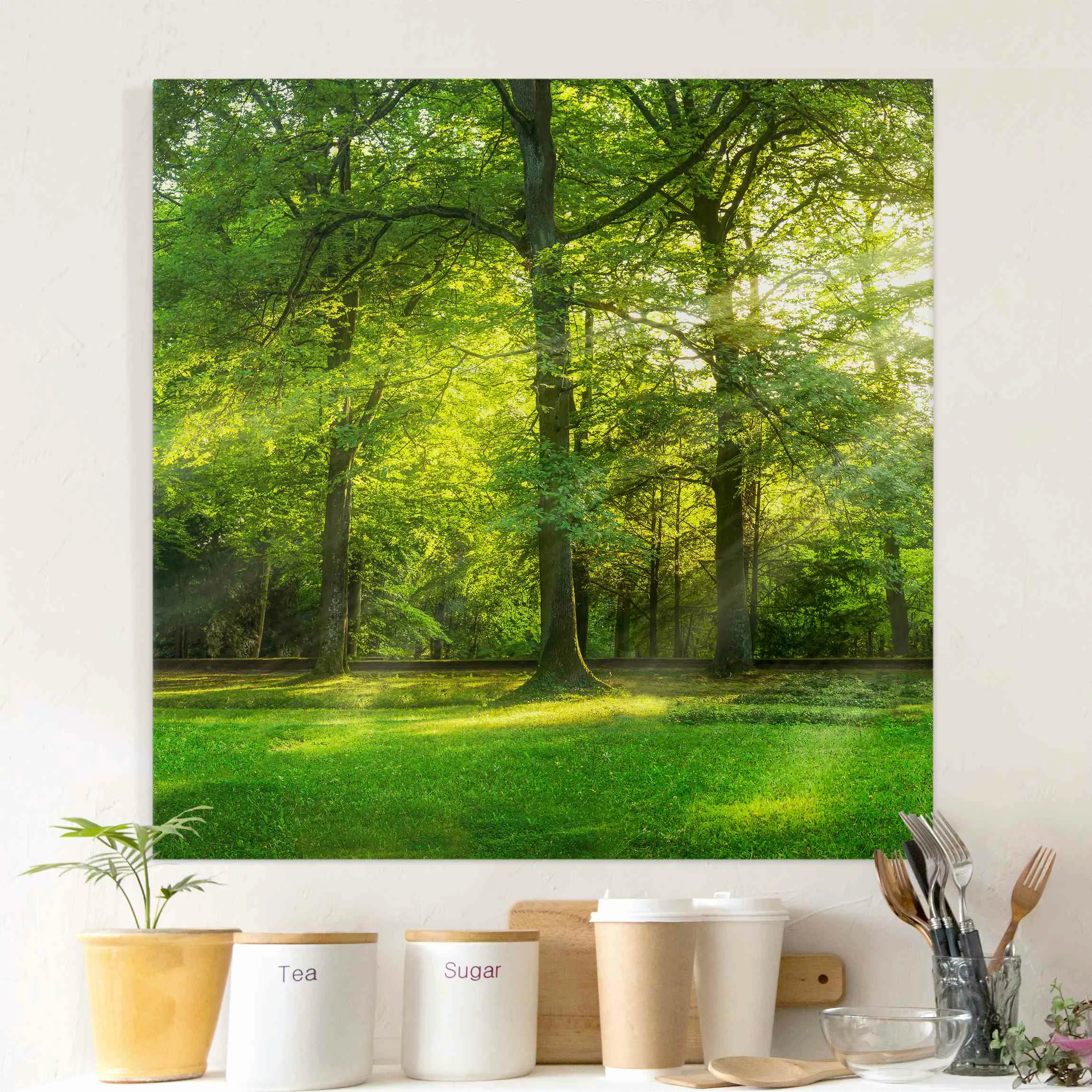 Leinwandbild Spaziergang im Wald günstig online kaufen