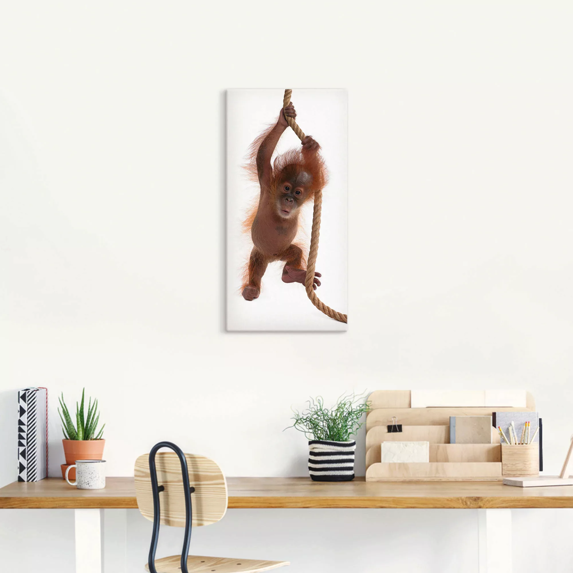 Artland Wandbild "Baby Orang Utan hängt am Seil I", Wildtiere, (1 St.), als günstig online kaufen