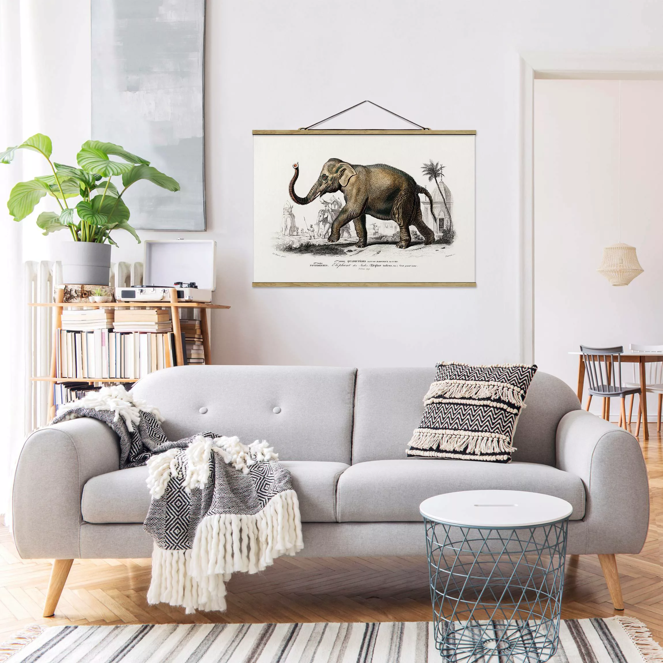 Stoffbild Tiere mit Posterleisten - Querformat Vintage Lehrtafel Elefant günstig online kaufen