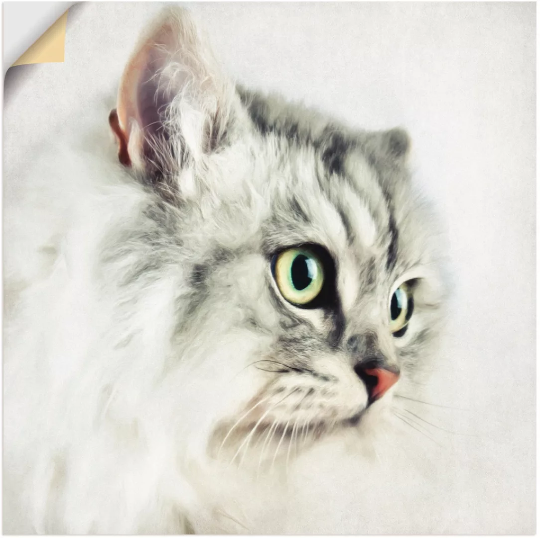Artland Wandbild "Katzenporträt", Haustiere, (1 St.), als Leinwandbild, Pos günstig online kaufen