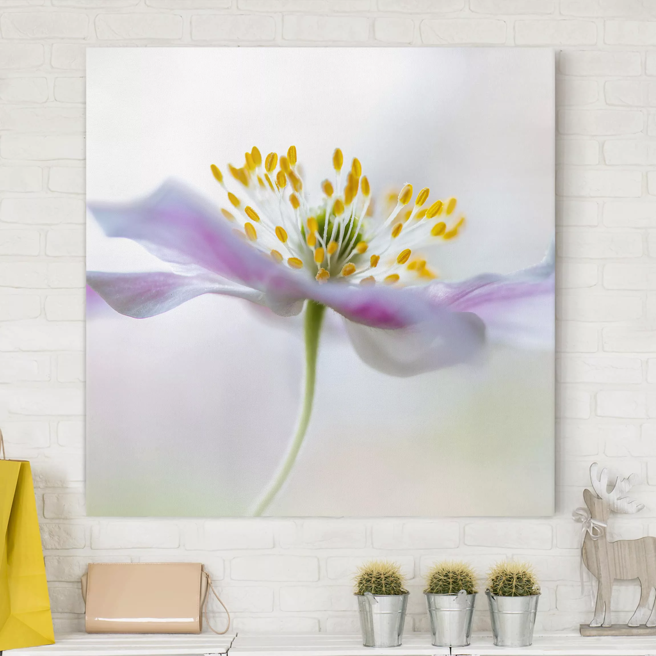 Leinwandbild Blumen - Quadrat Buschwindröschen in Weiß günstig online kaufen