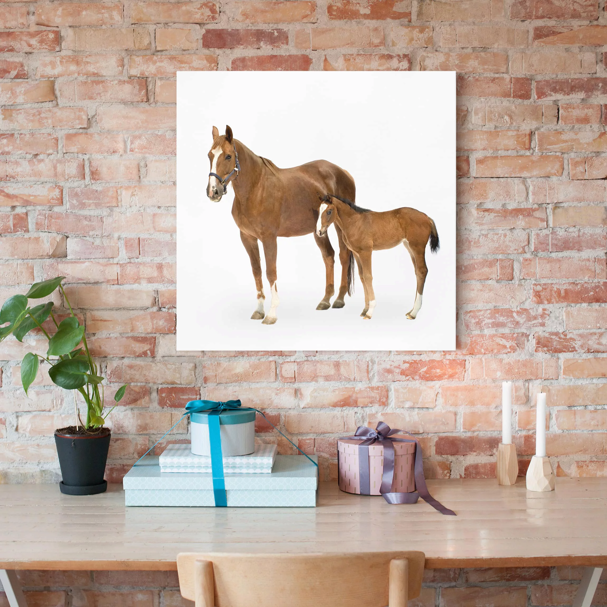 Leinwandbild Pferd - Quadrat Stute & Fohlen günstig online kaufen